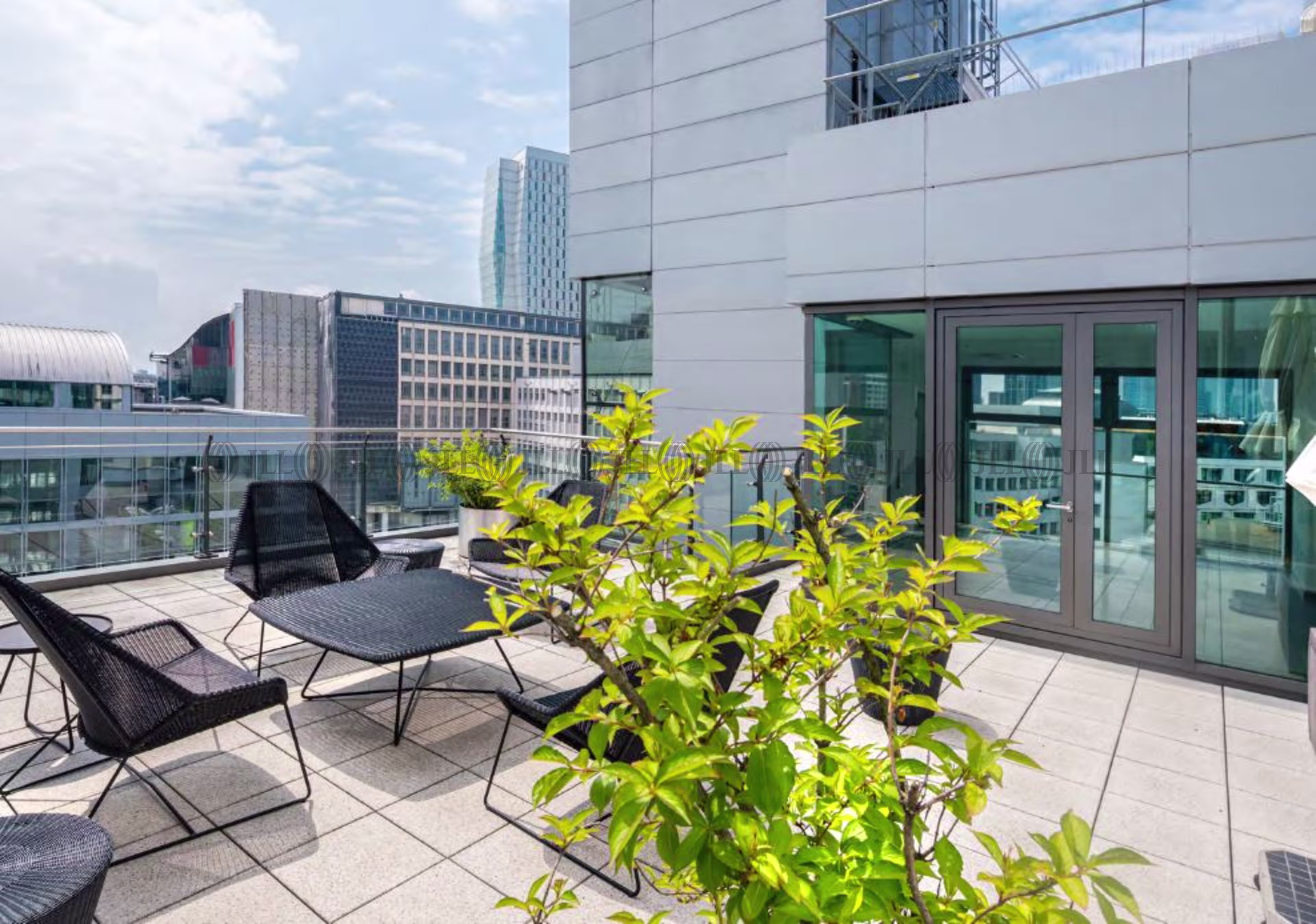 Büroimmobilie - Frankfurt am Main, Innenstadt - F0770