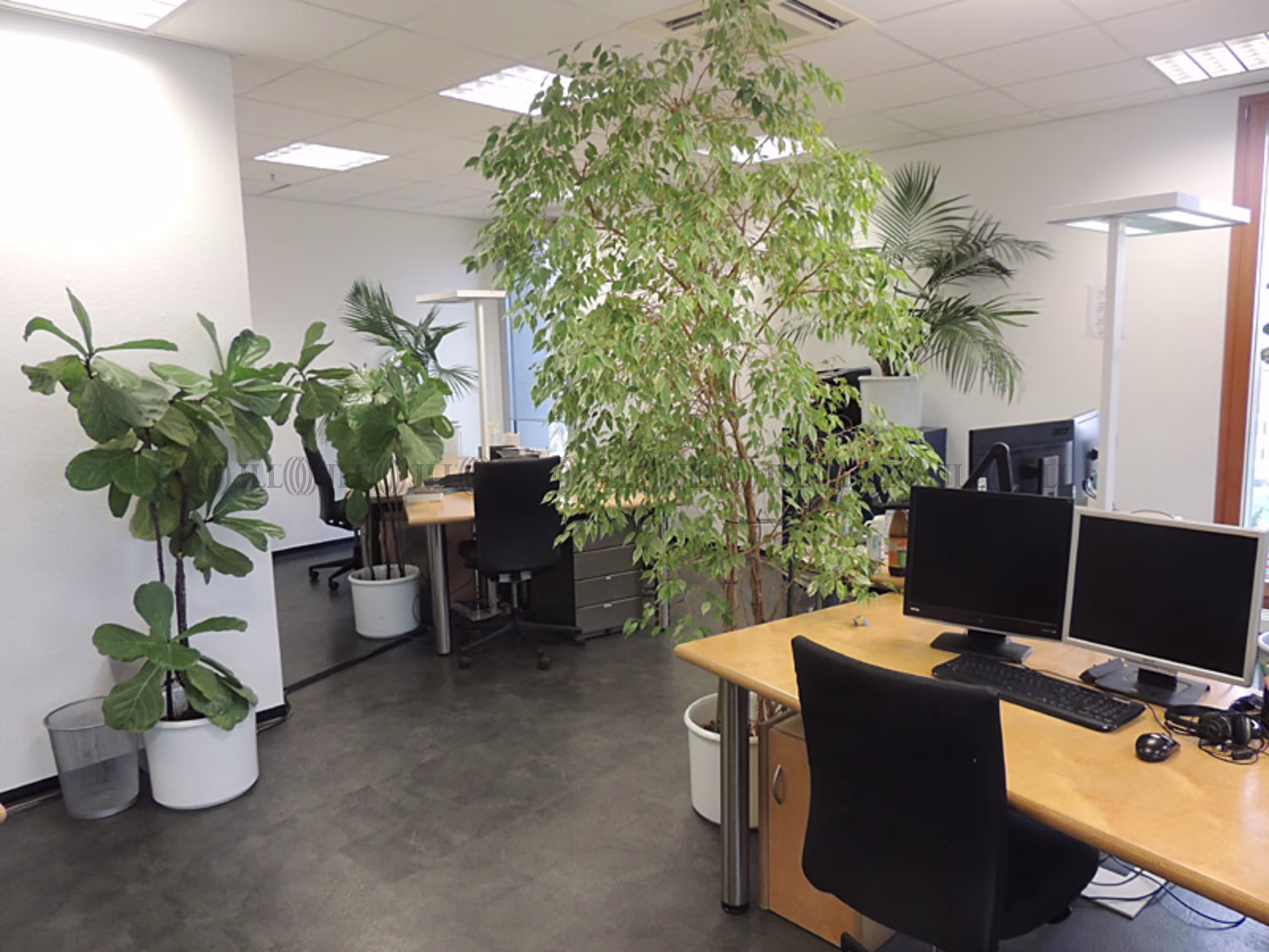 Büroimmobilie - Karlsruhe, Innenstadt-West - S0836