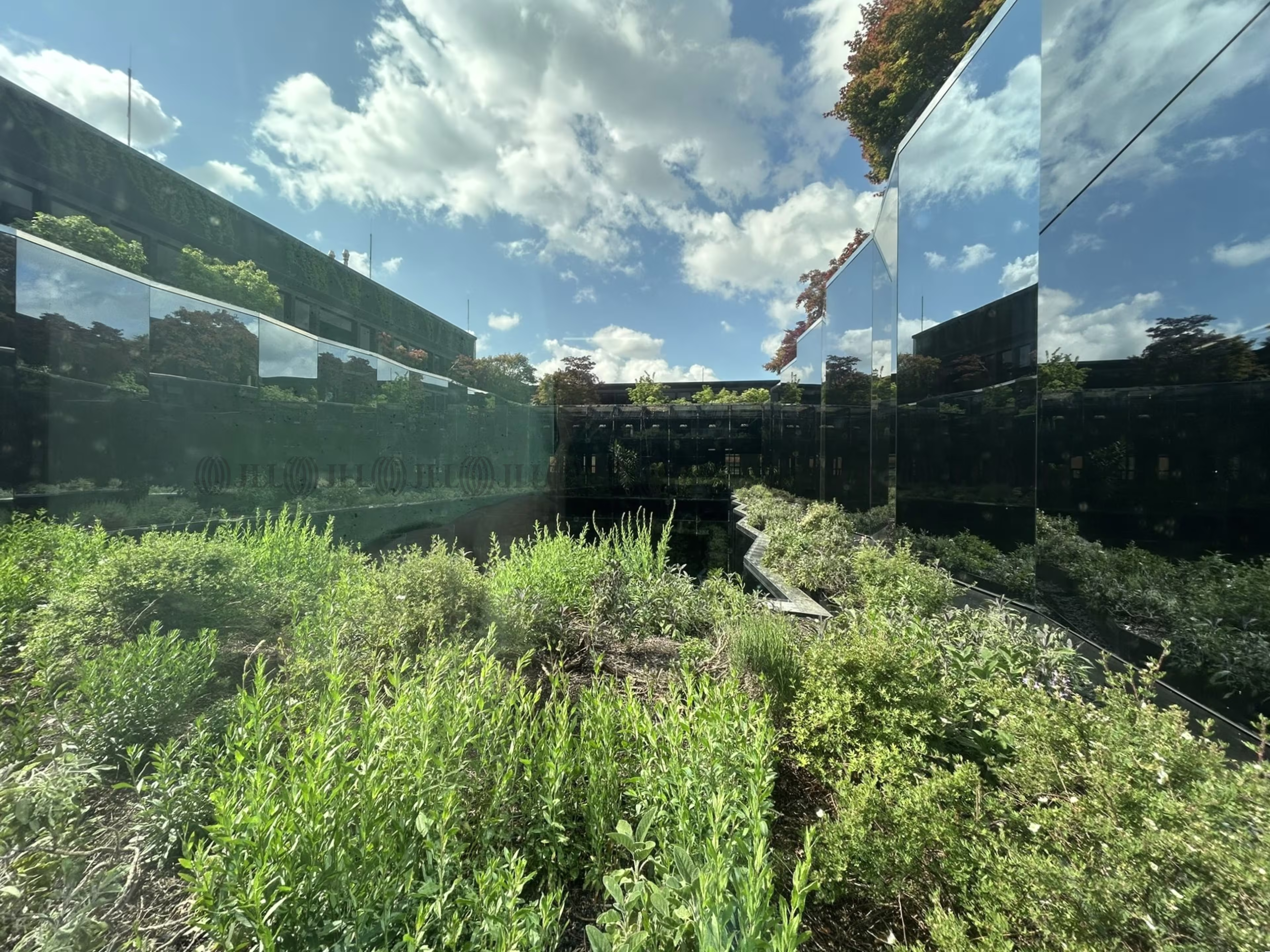 Büroimmobilie - München, Altstadt - M2516