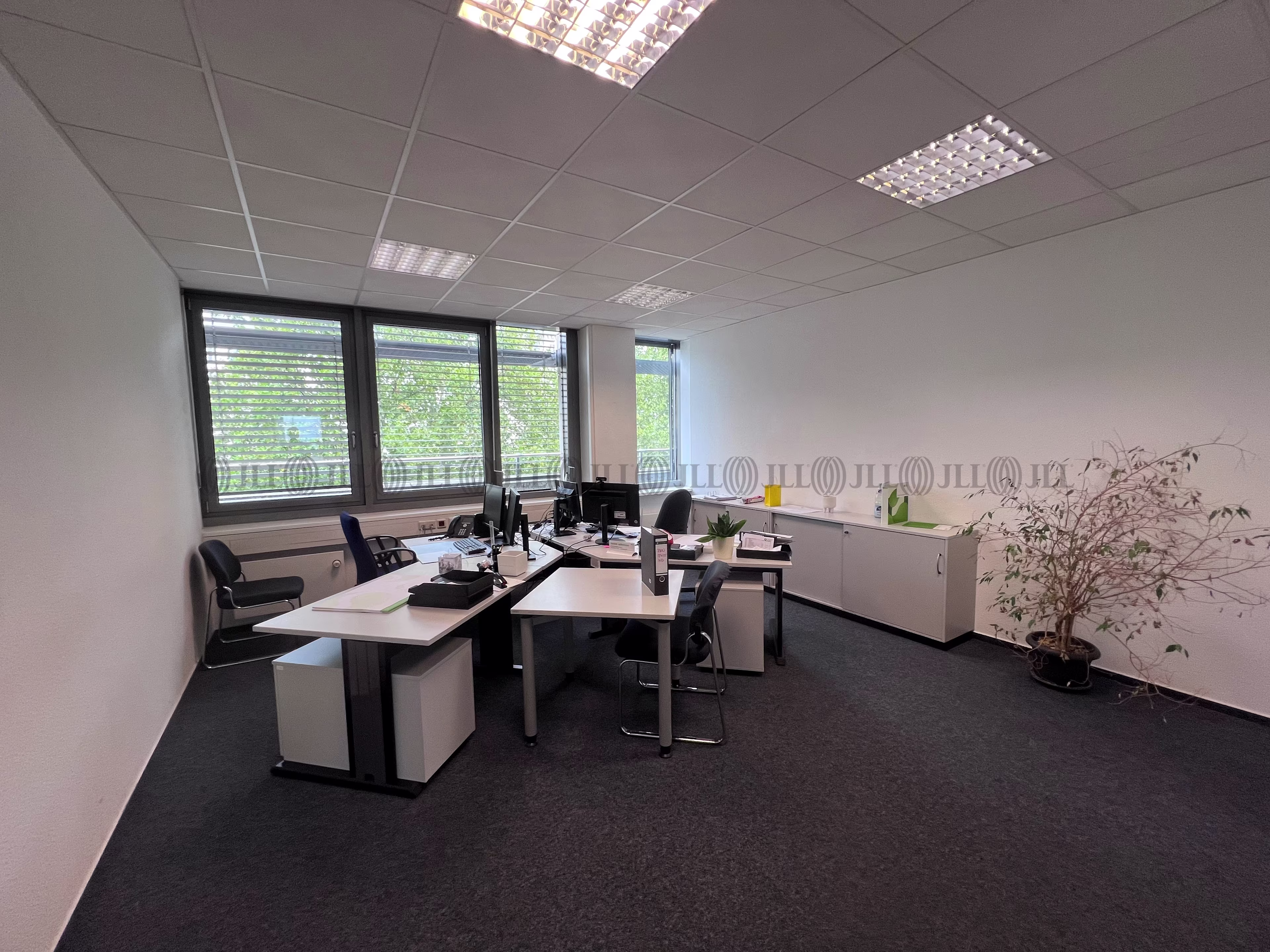 Büroimmobilie - Magdeburg, Altstadt - B0233