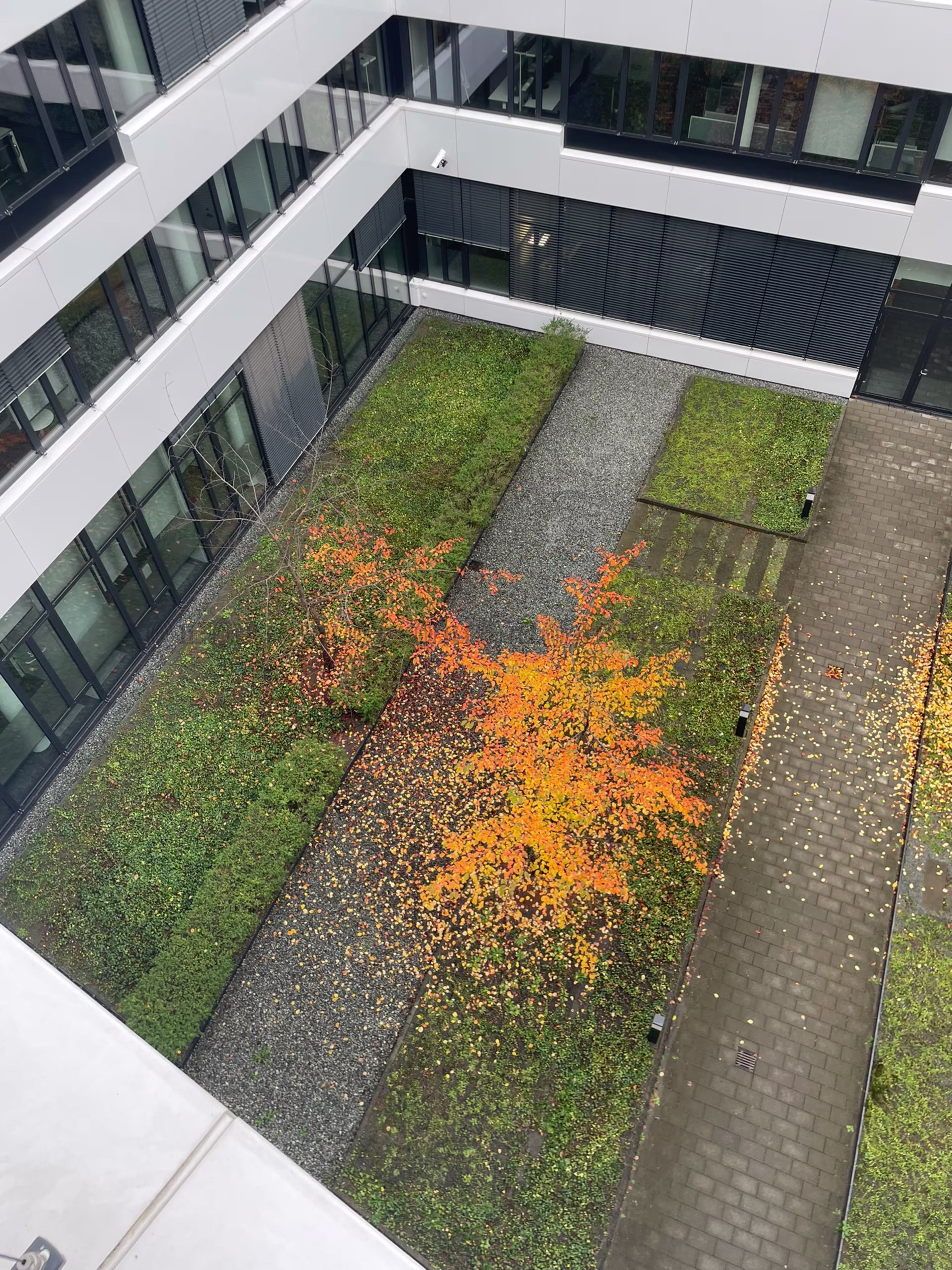 Büroimmobilie - Eschborn - F3201