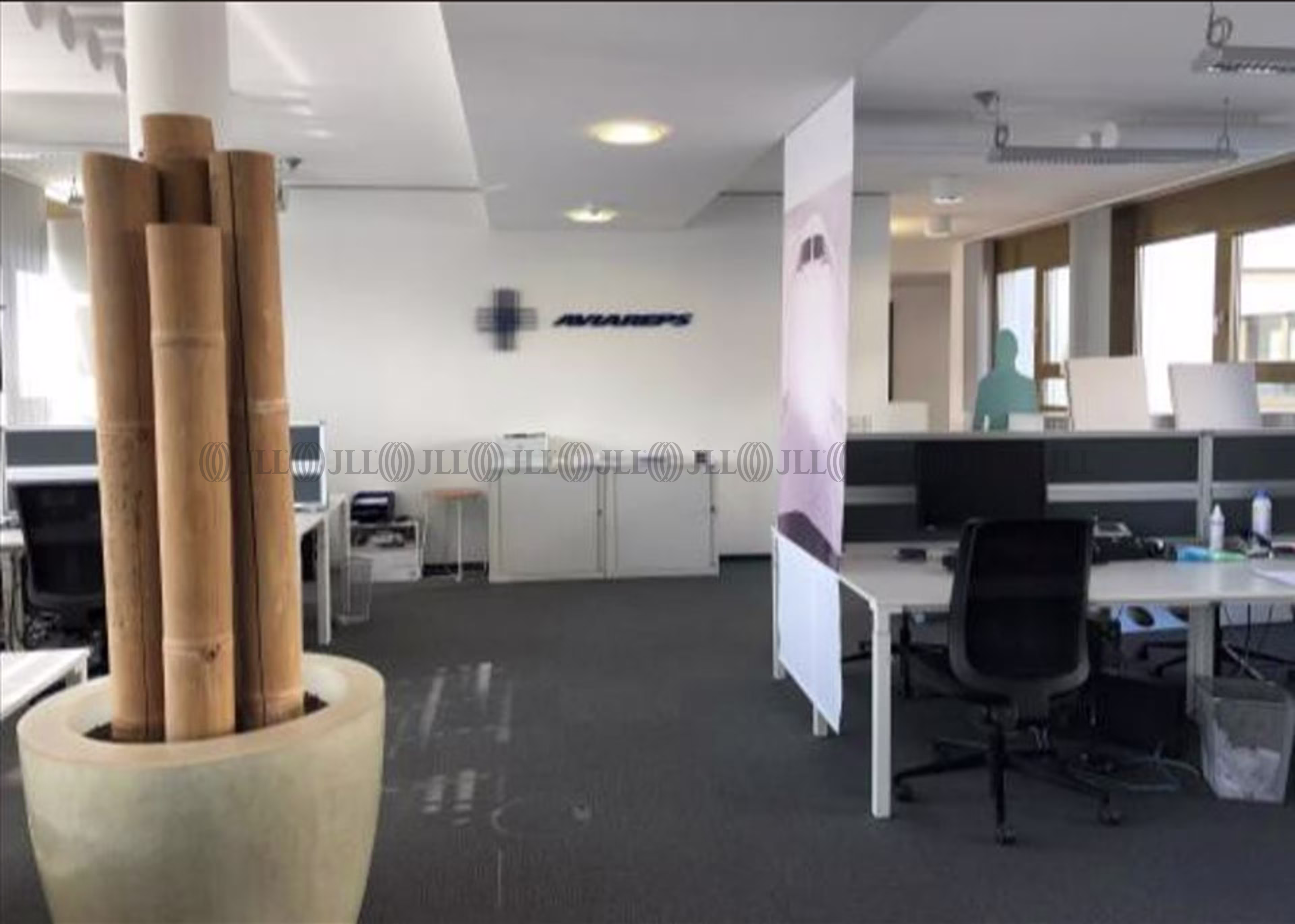 Büroimmobilie - Frankfurt am Main, Bahnhofsviertel - F2877