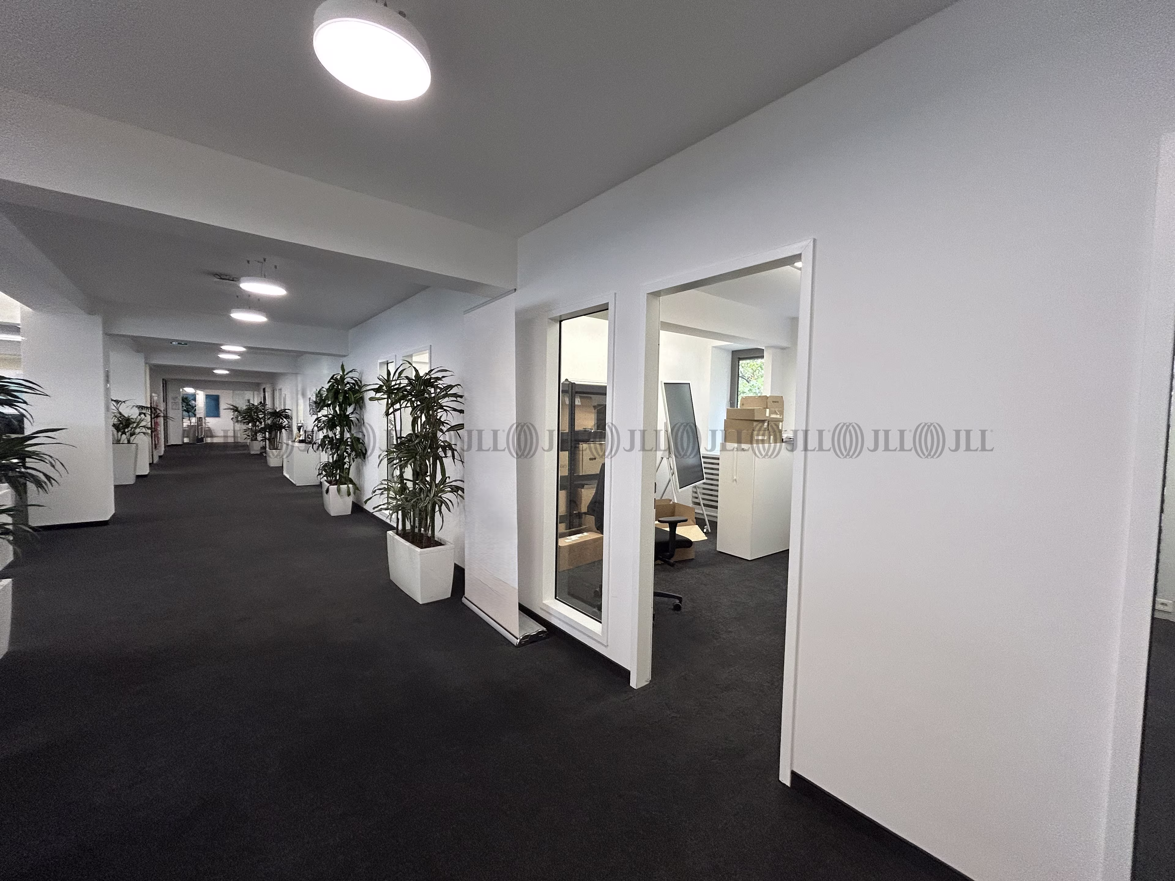 Büroimmobilie - Köln, Neustadt-Nord - K0589