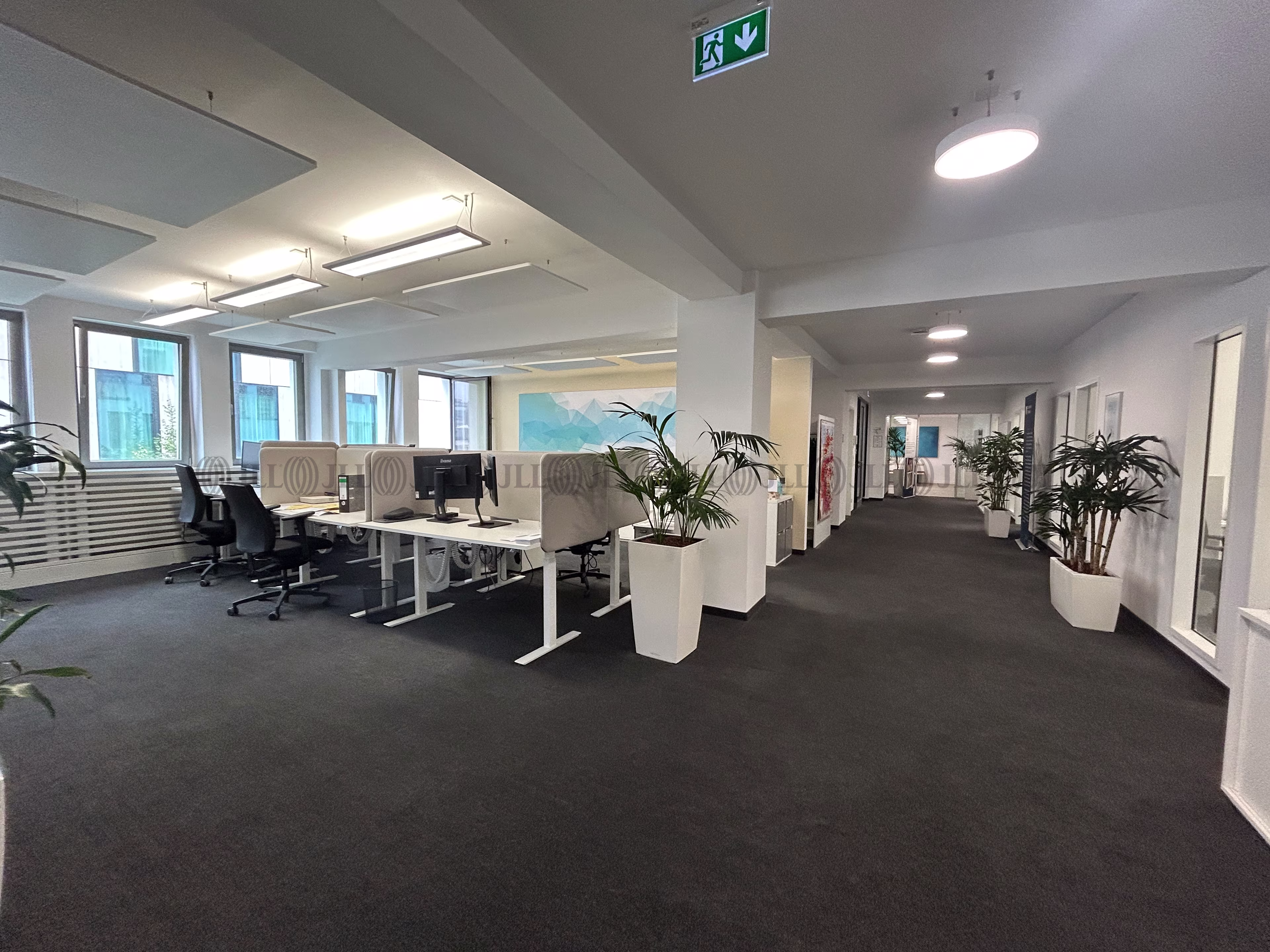 Büroimmobilie - Köln, Neustadt-Nord - K0589