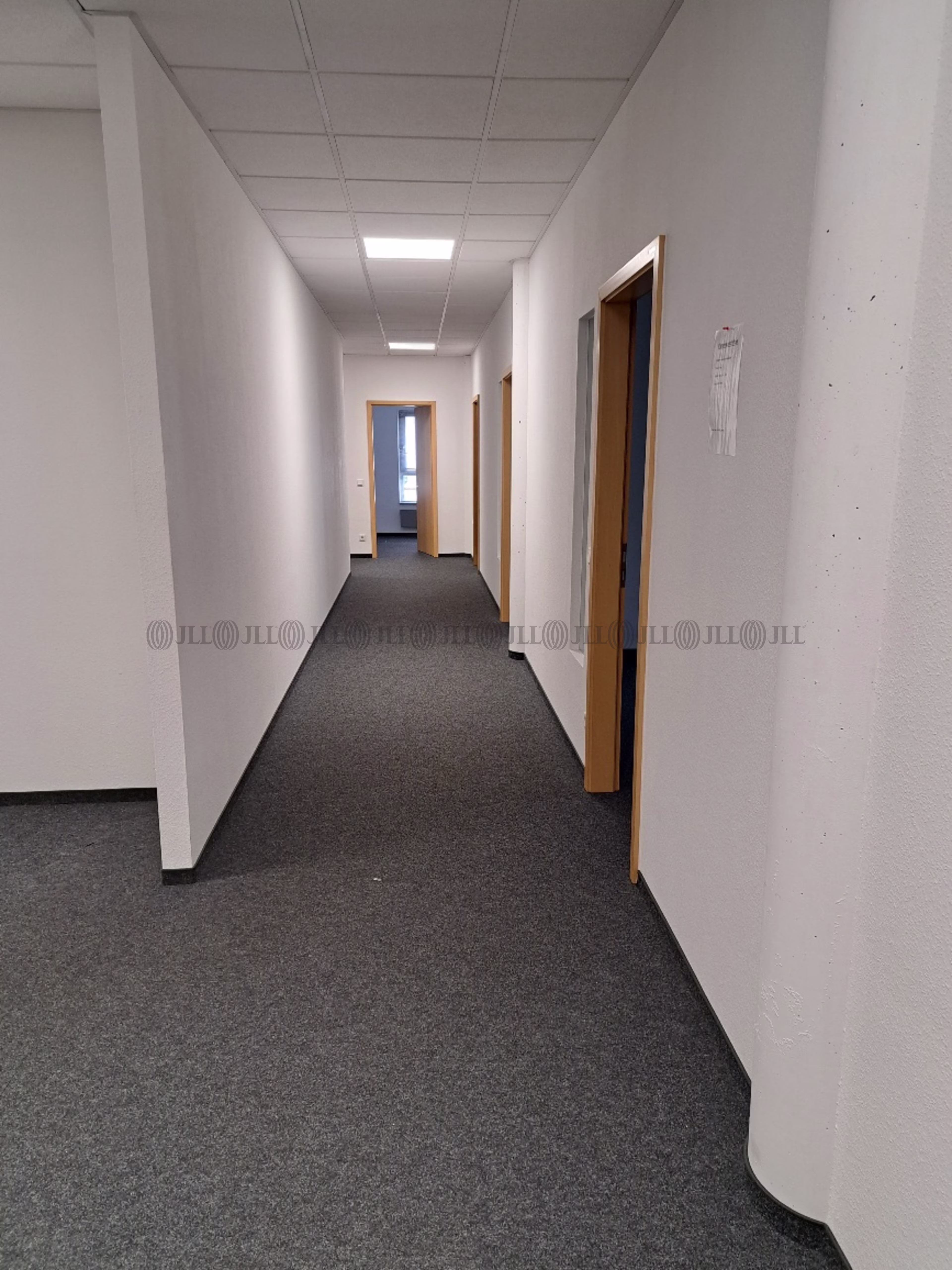 Büroimmobilie - Oberursel (Taunus) - F1101