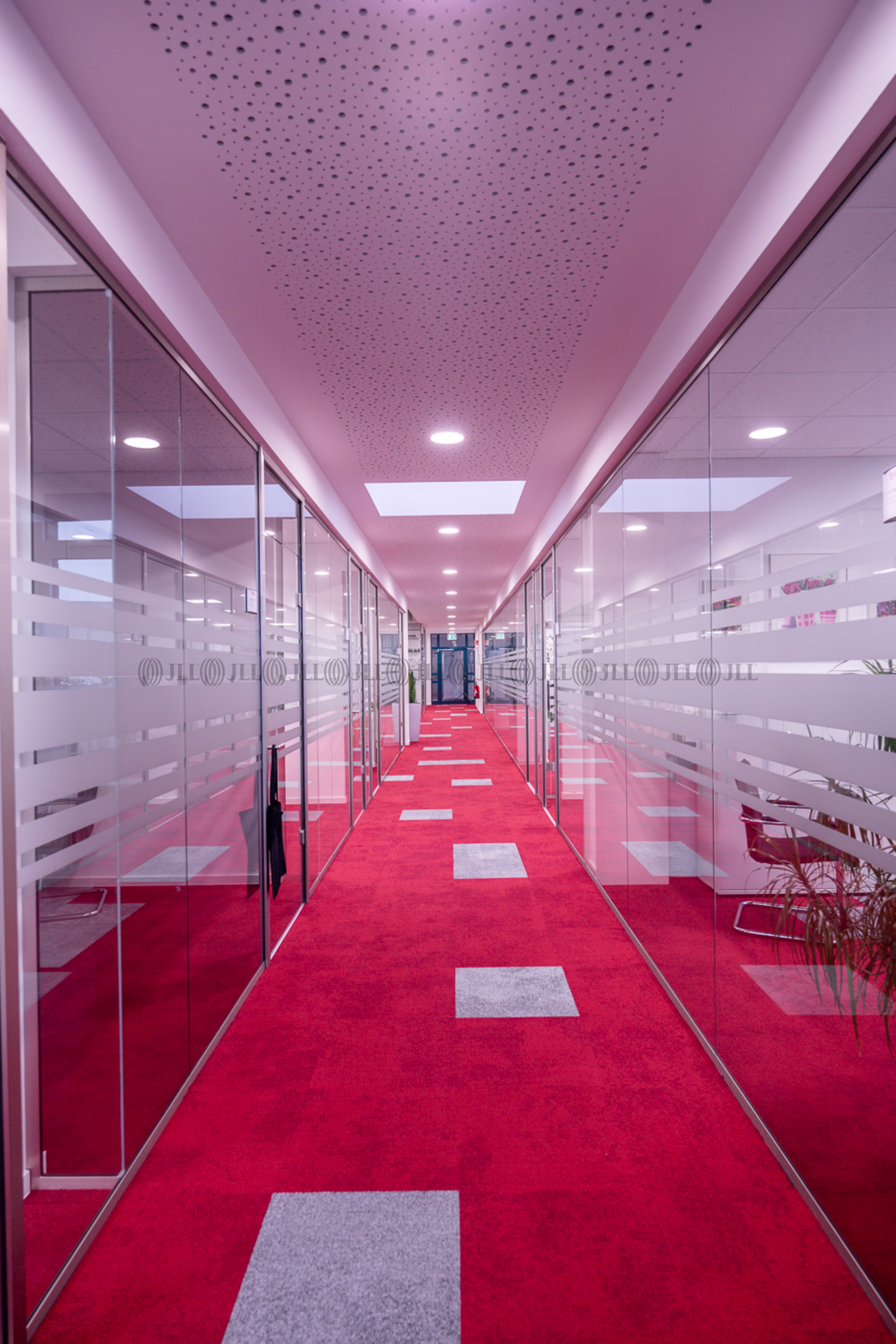 Büroimmobilie - Hilden - D2393