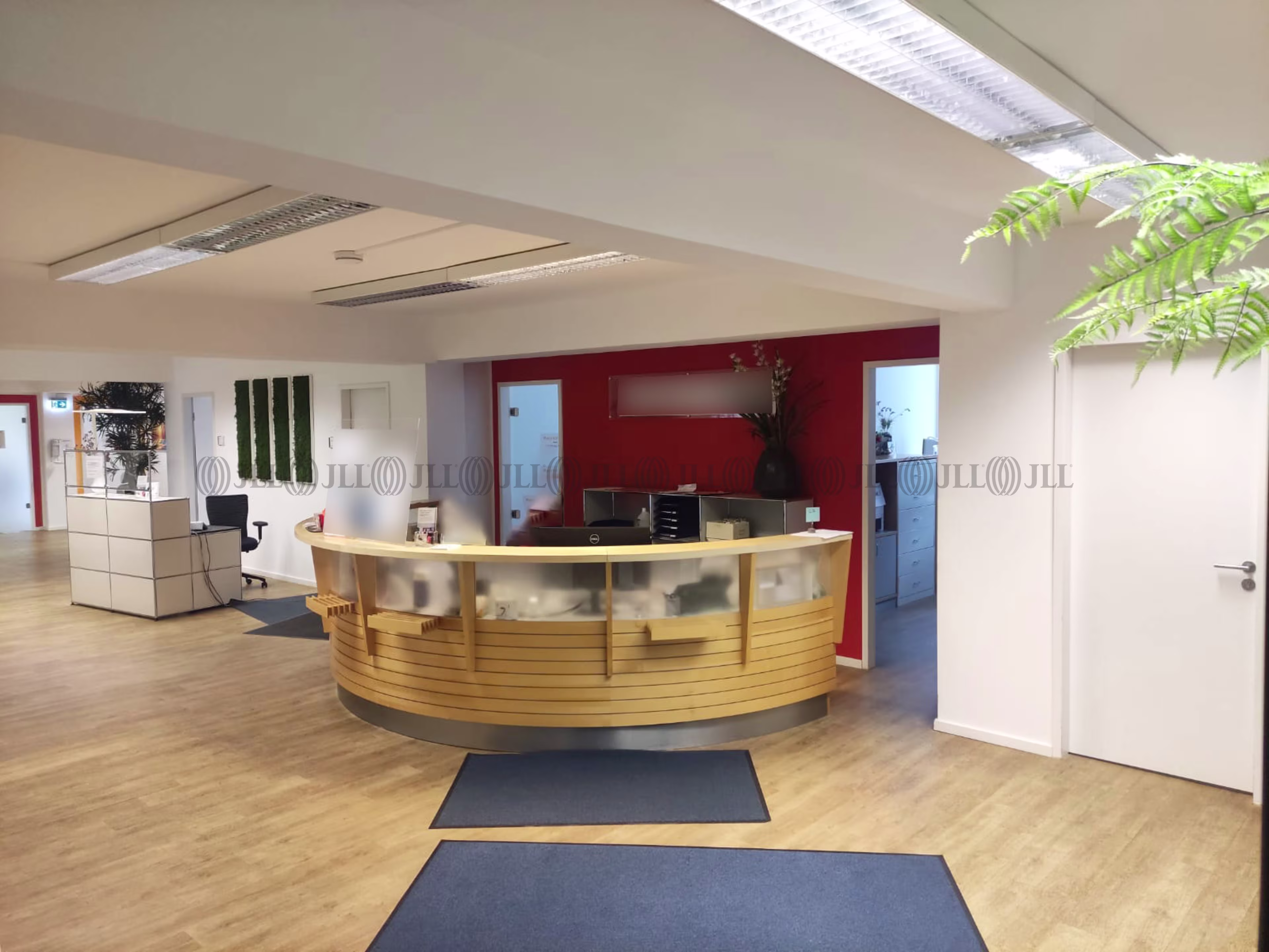 Büroimmobilie - Düsseldorf, Friedrichstadt - D0074