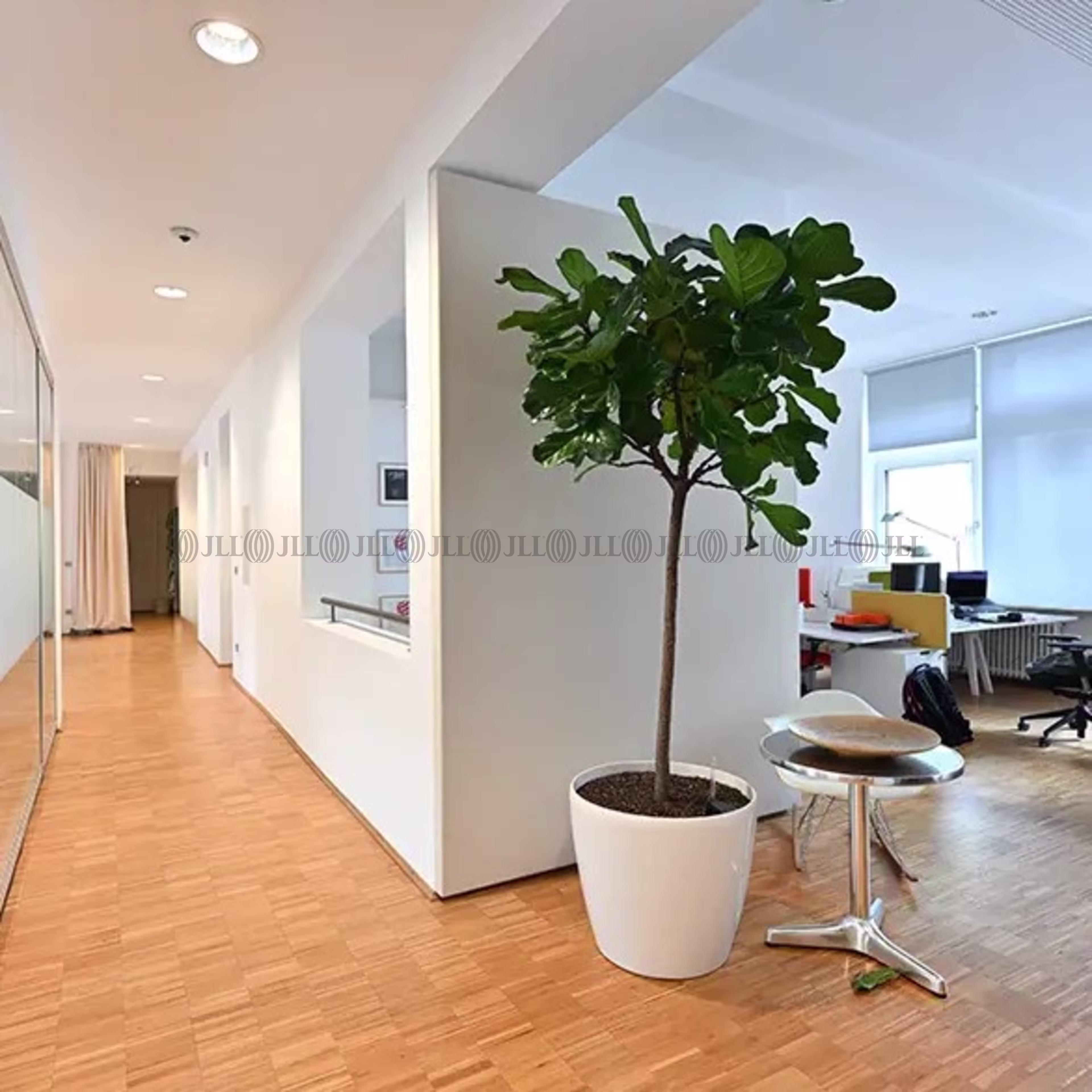 Büroimmobilie - Düsseldorf, Stadtmitte - D0728