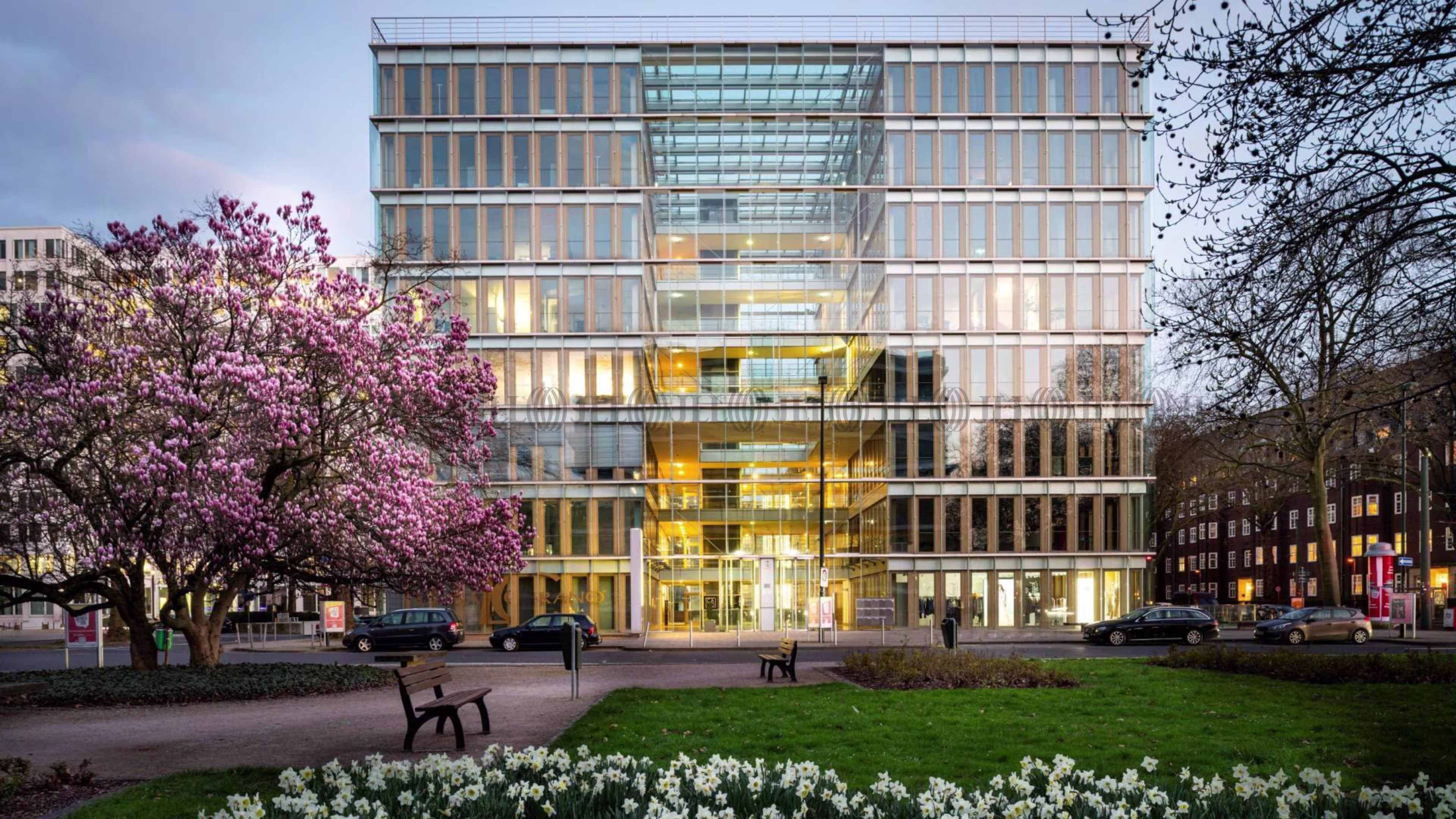 Büroimmobilie - Düsseldorf, Golzheim - D0481