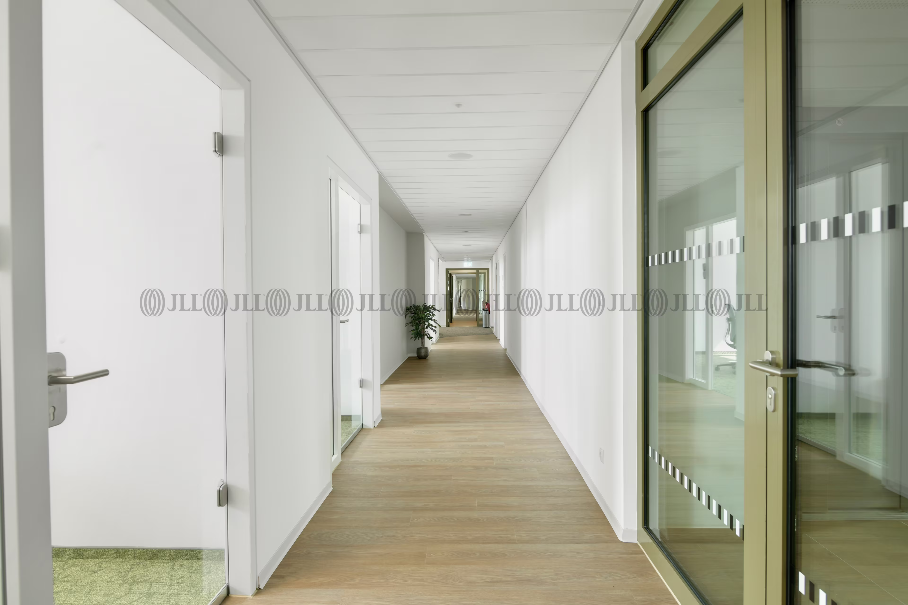 Büroimmobilie - Bonn, Hochkreuz - K1668