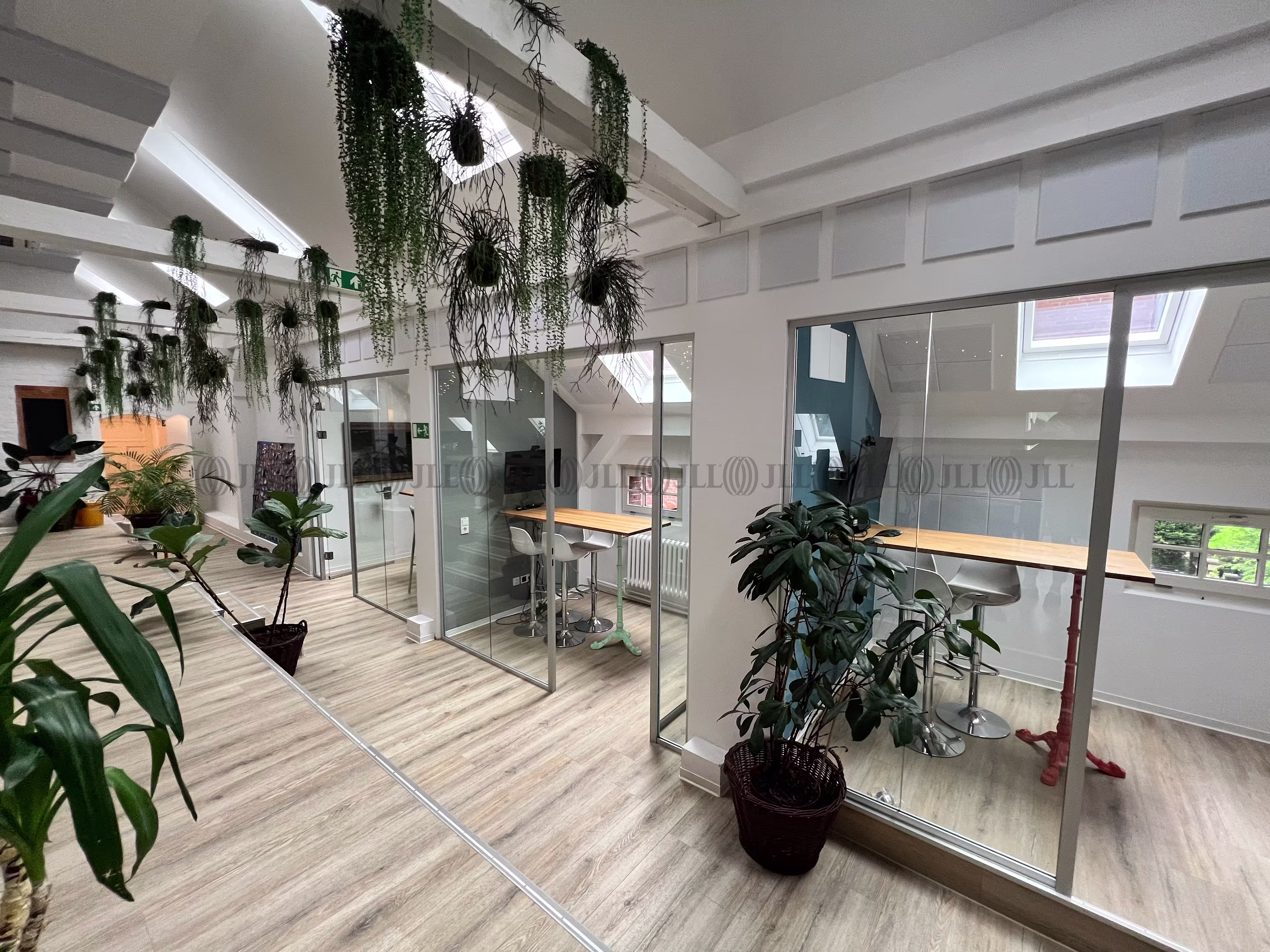 Büroimmobilie - Düsseldorf, Pempelfort - D0586