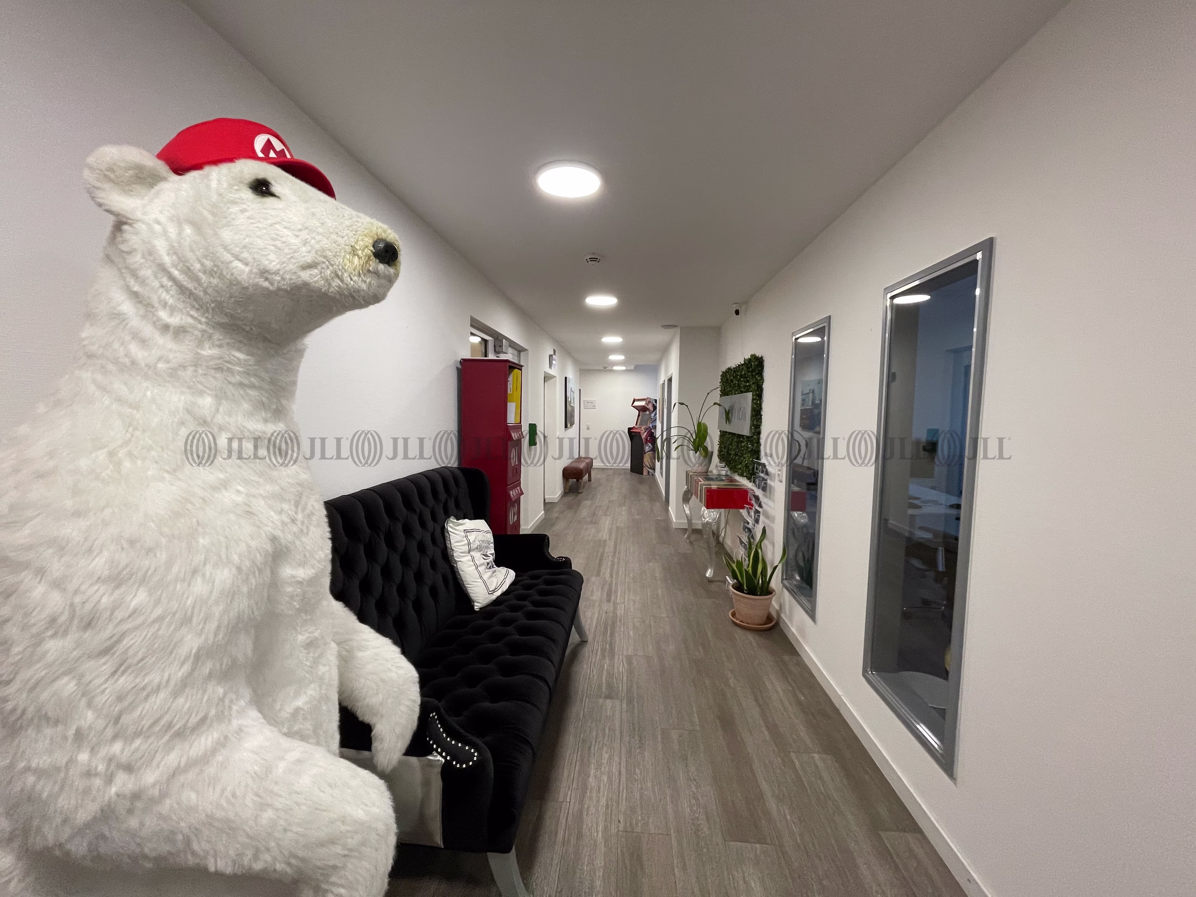 Büroimmobilie - Köln, Altstadt-Süd - K0153