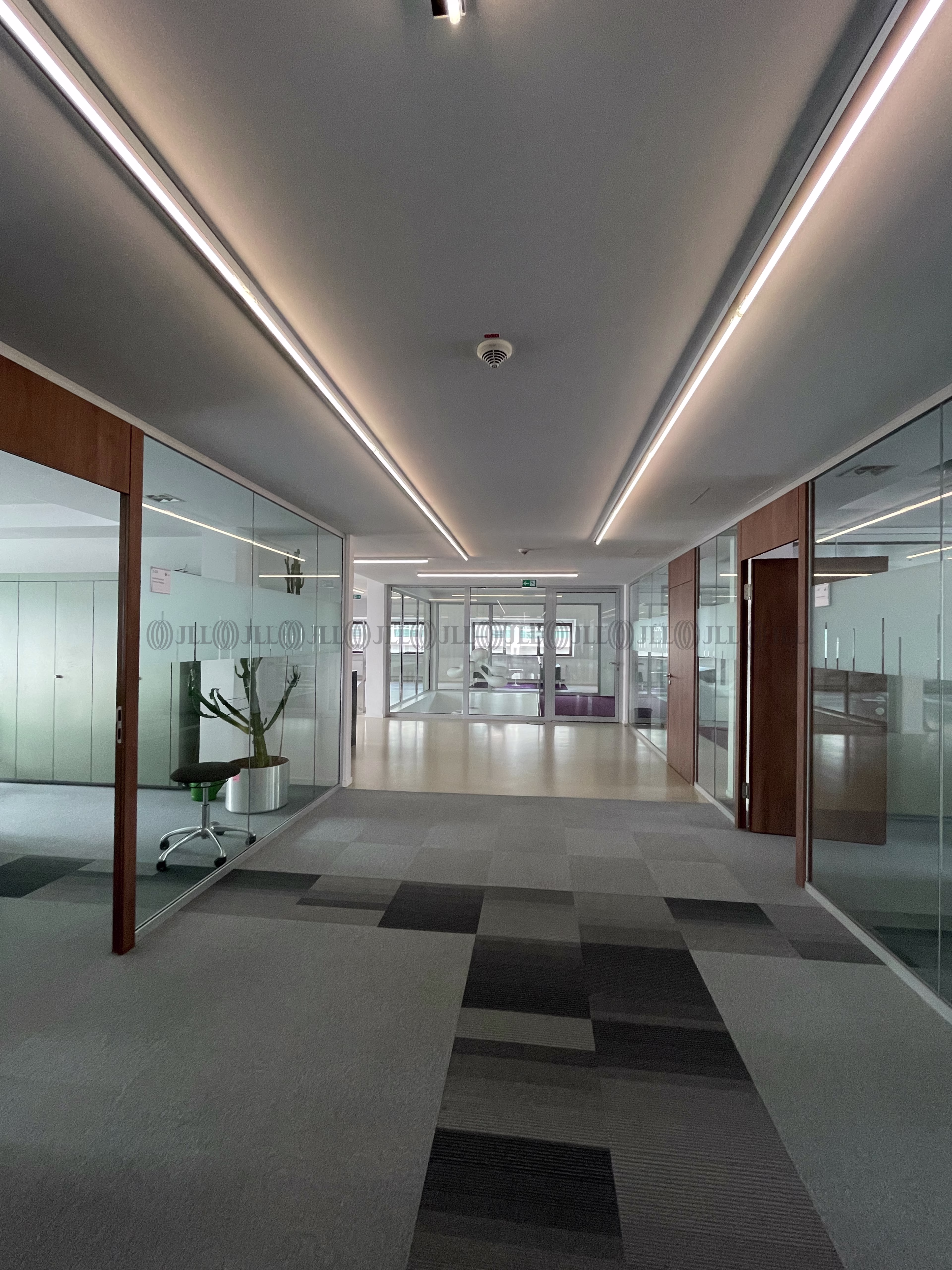 Büroimmobilie - Köln, Altstadt-Nord - K0294