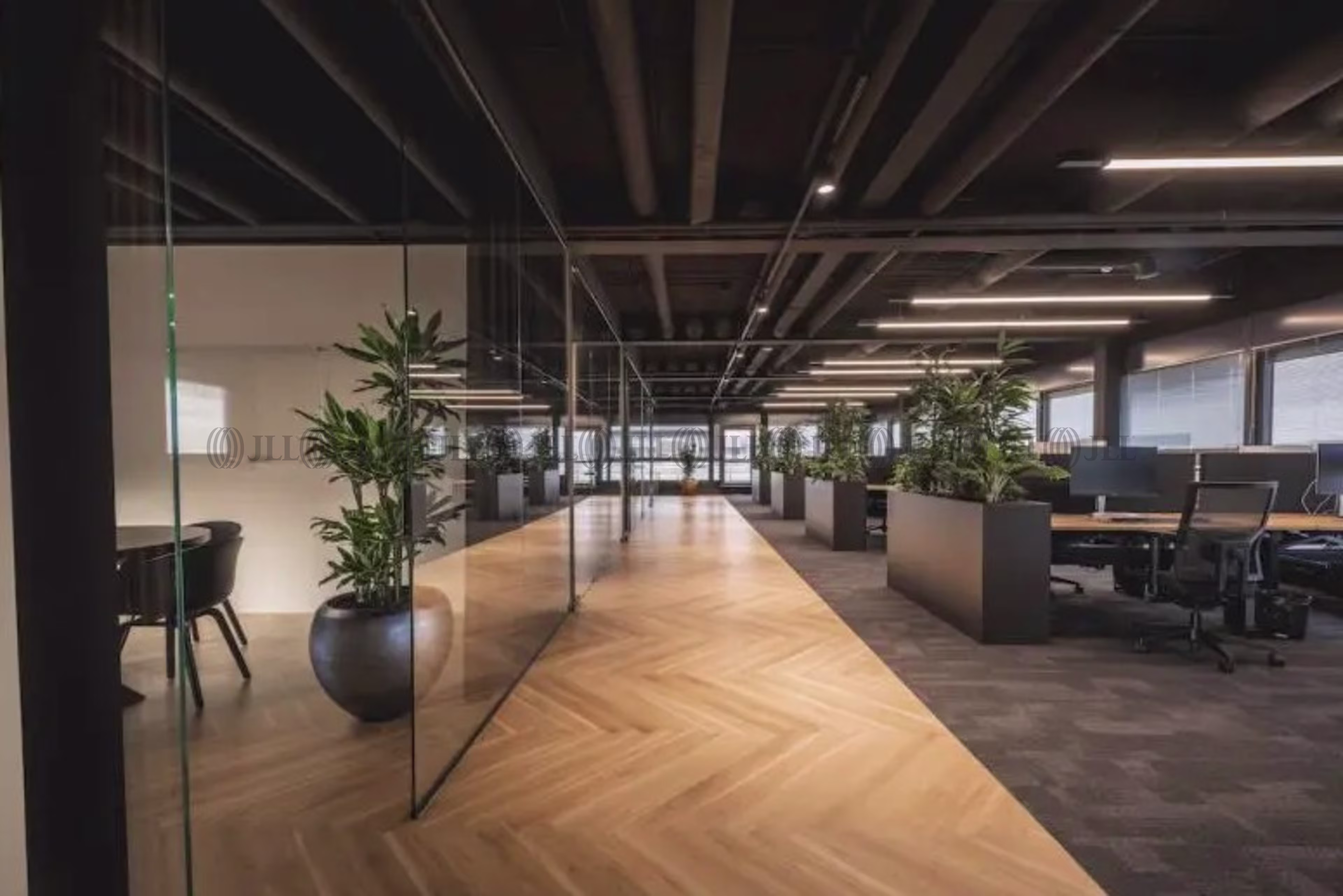 Büroimmobilie - Berlin, Grunewald - B0016