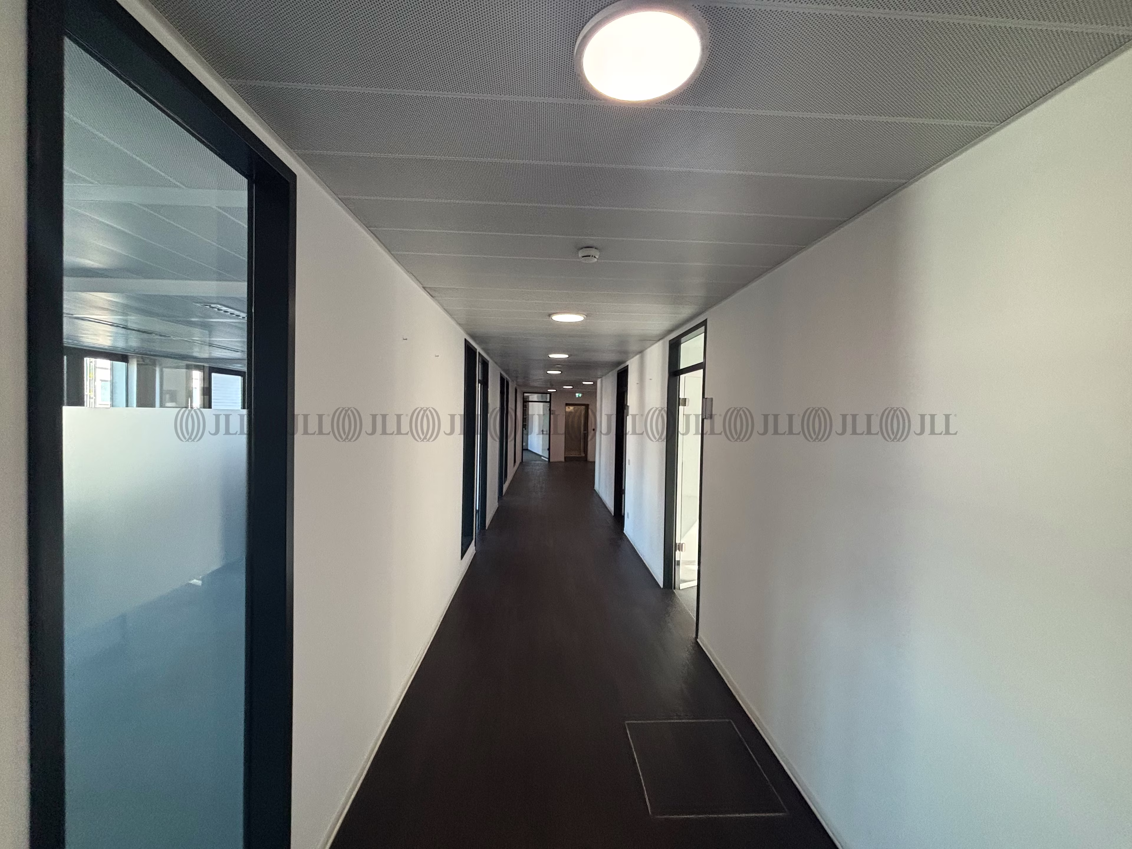 Büroimmobilie - Köln, Altstadt-Nord - K0048