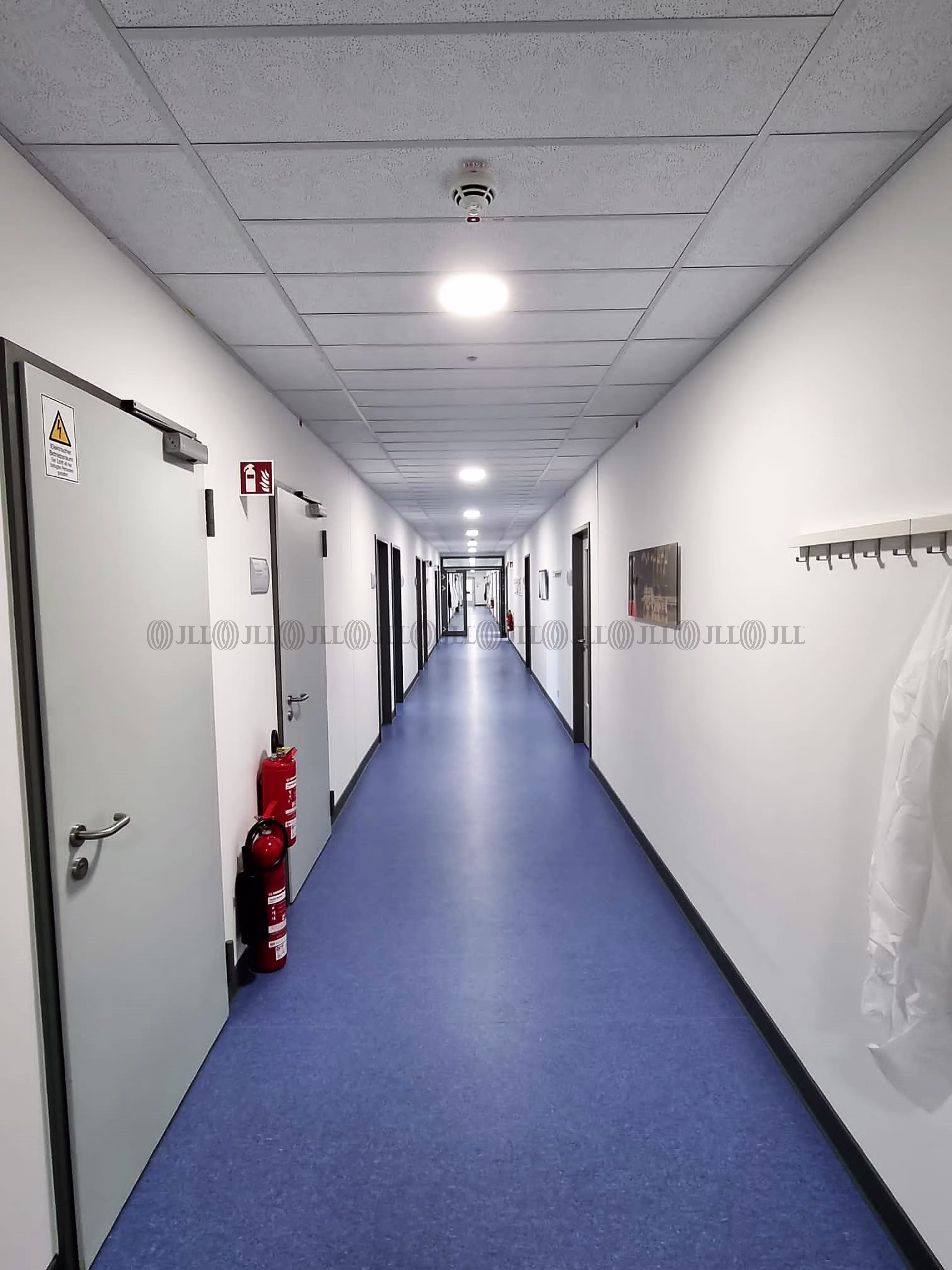 Büroimmobilie - Berlin, Johannisthal - B2707