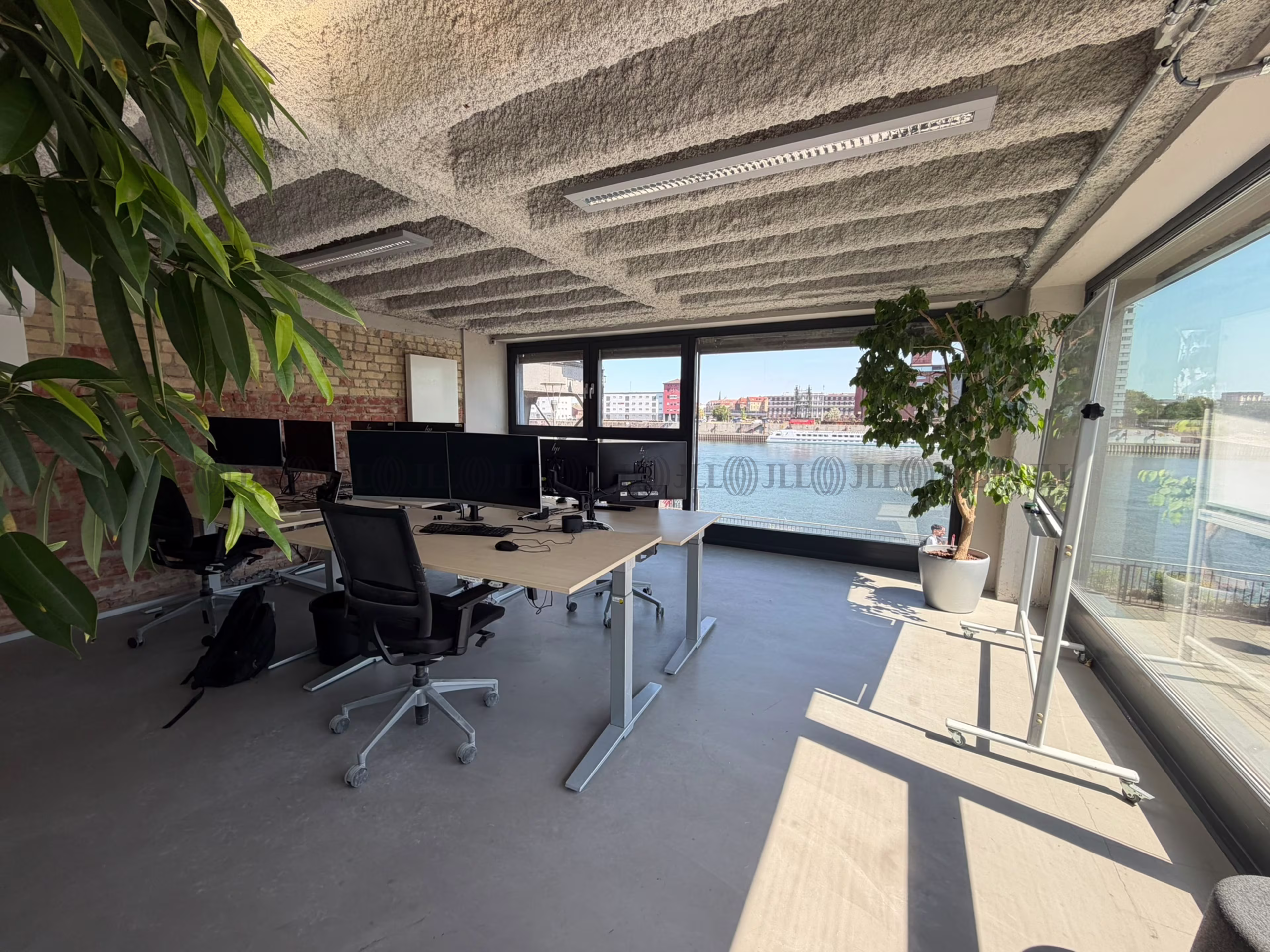 Büroimmobilie - Ludwigshafen am Rhein, Mitte - F3253