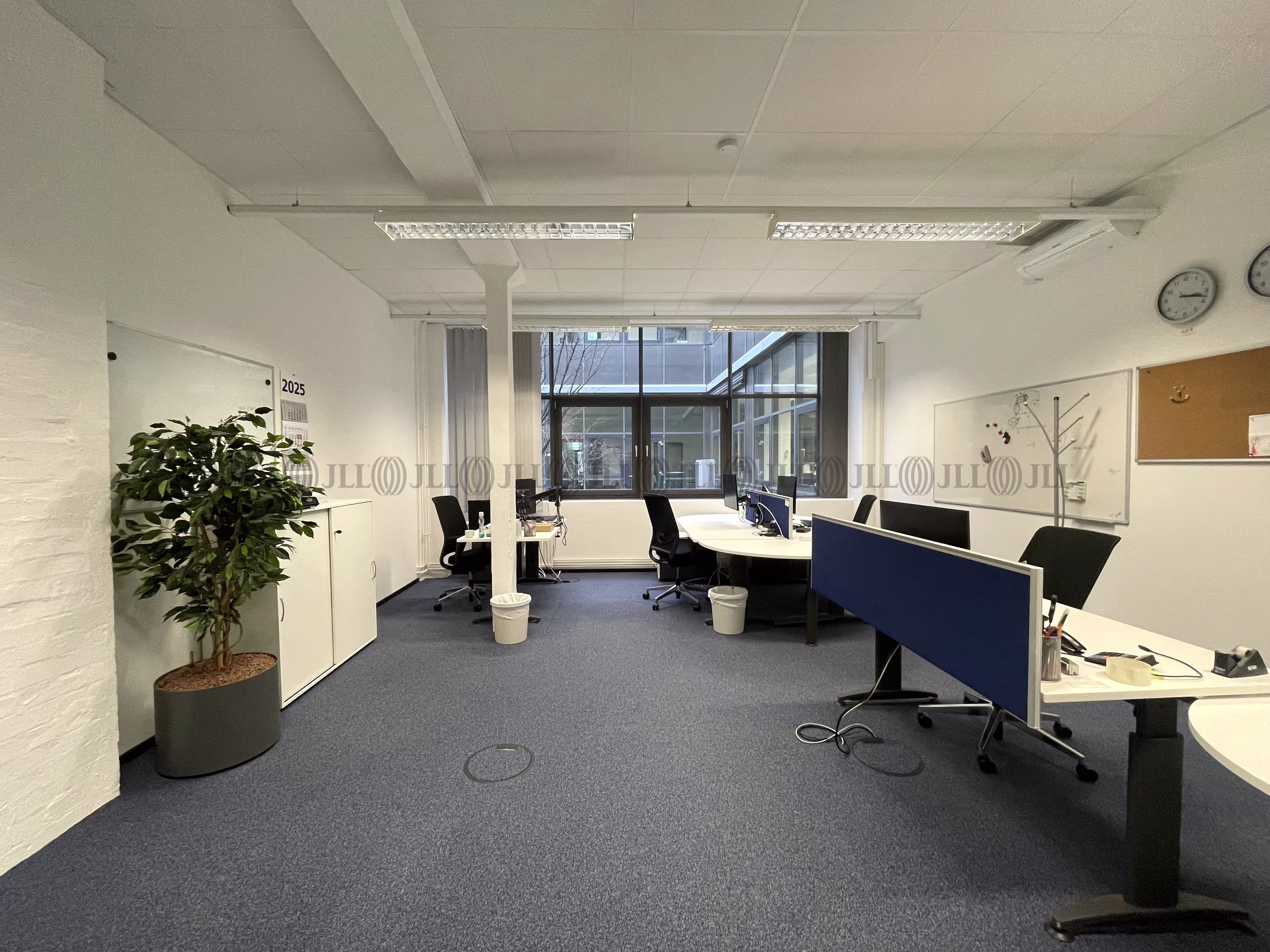 Büroimmobilie - Braunschweig, Westliches Ringgebiet - H1893