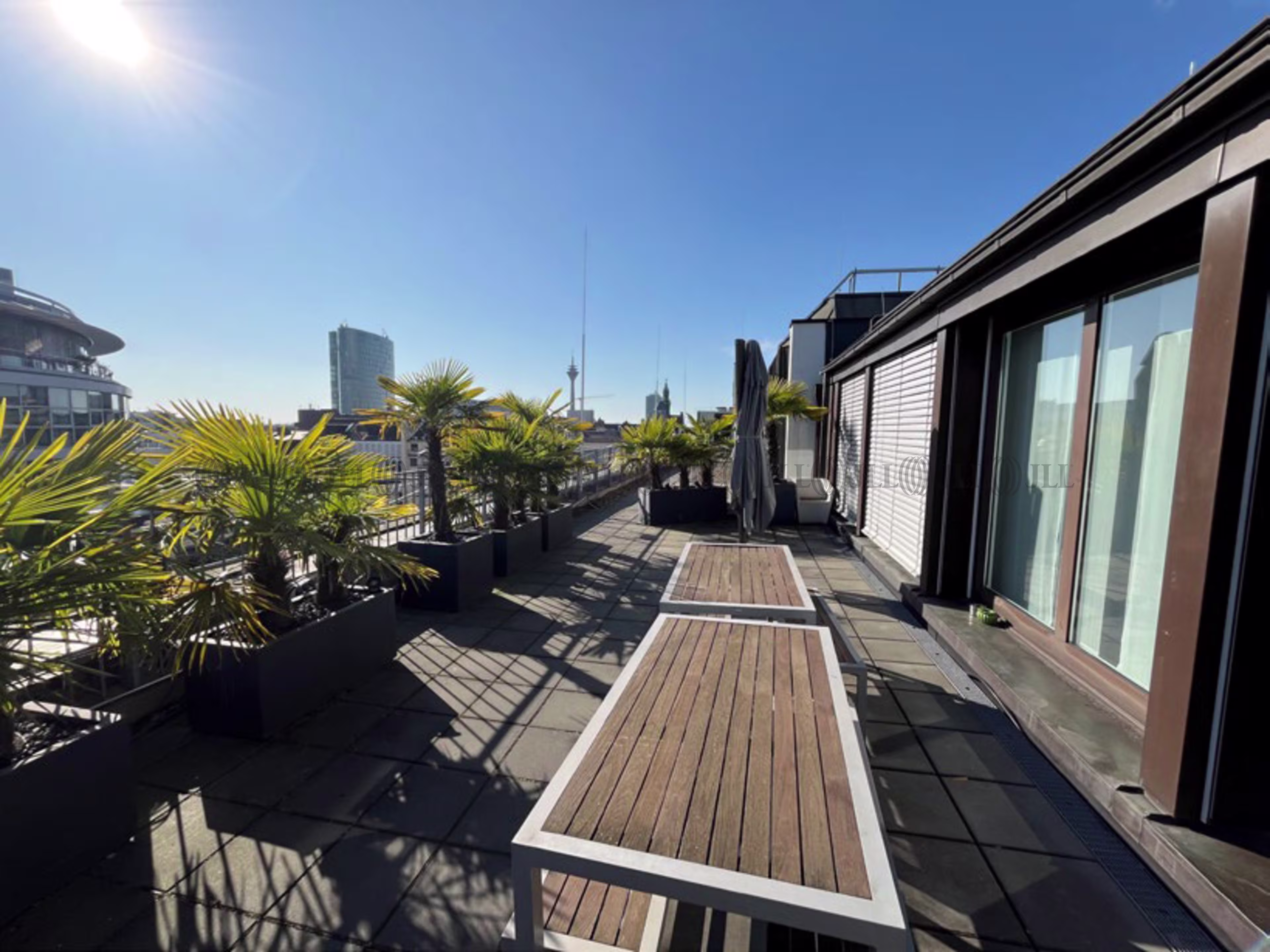 Büroimmobilie - Düsseldorf, Stadtmitte - D3382