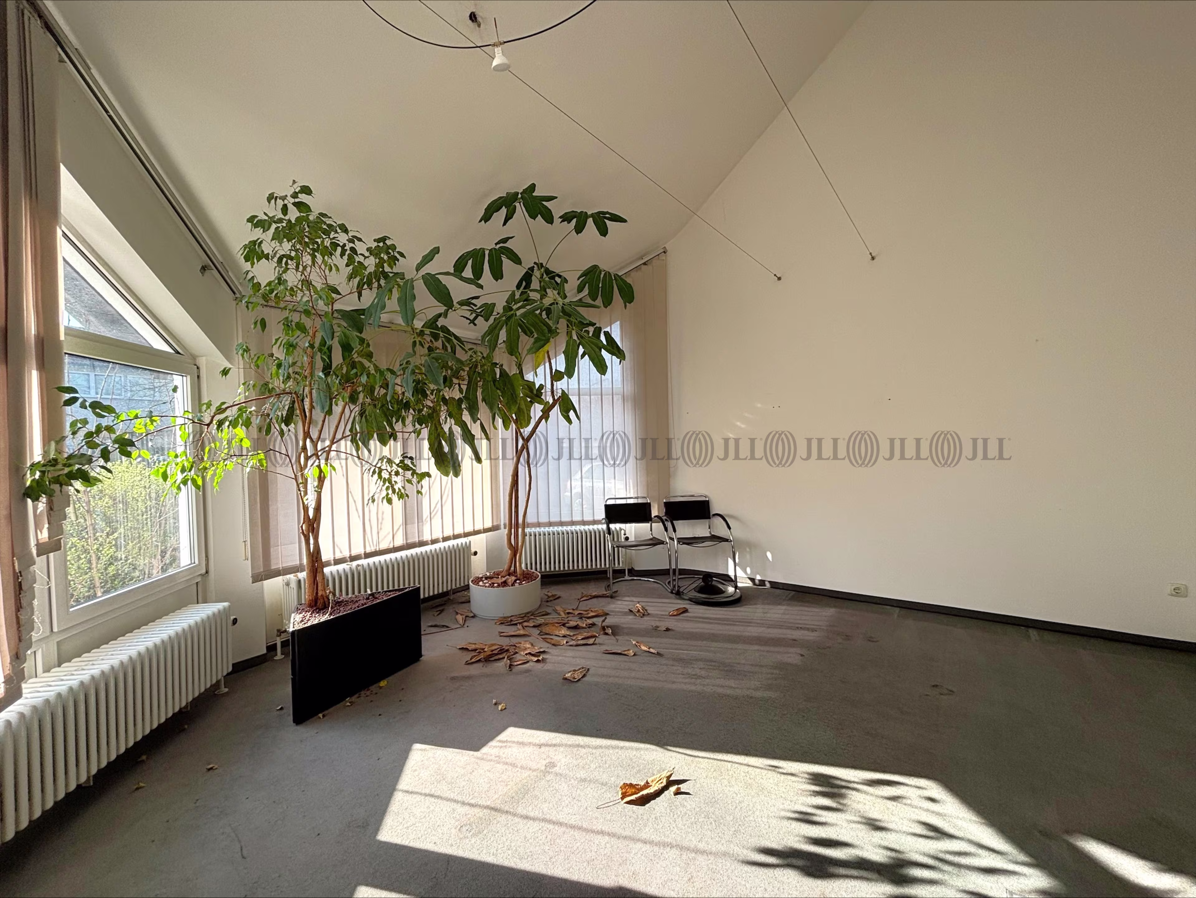 Büroimmobilie - Fürth - M2676
