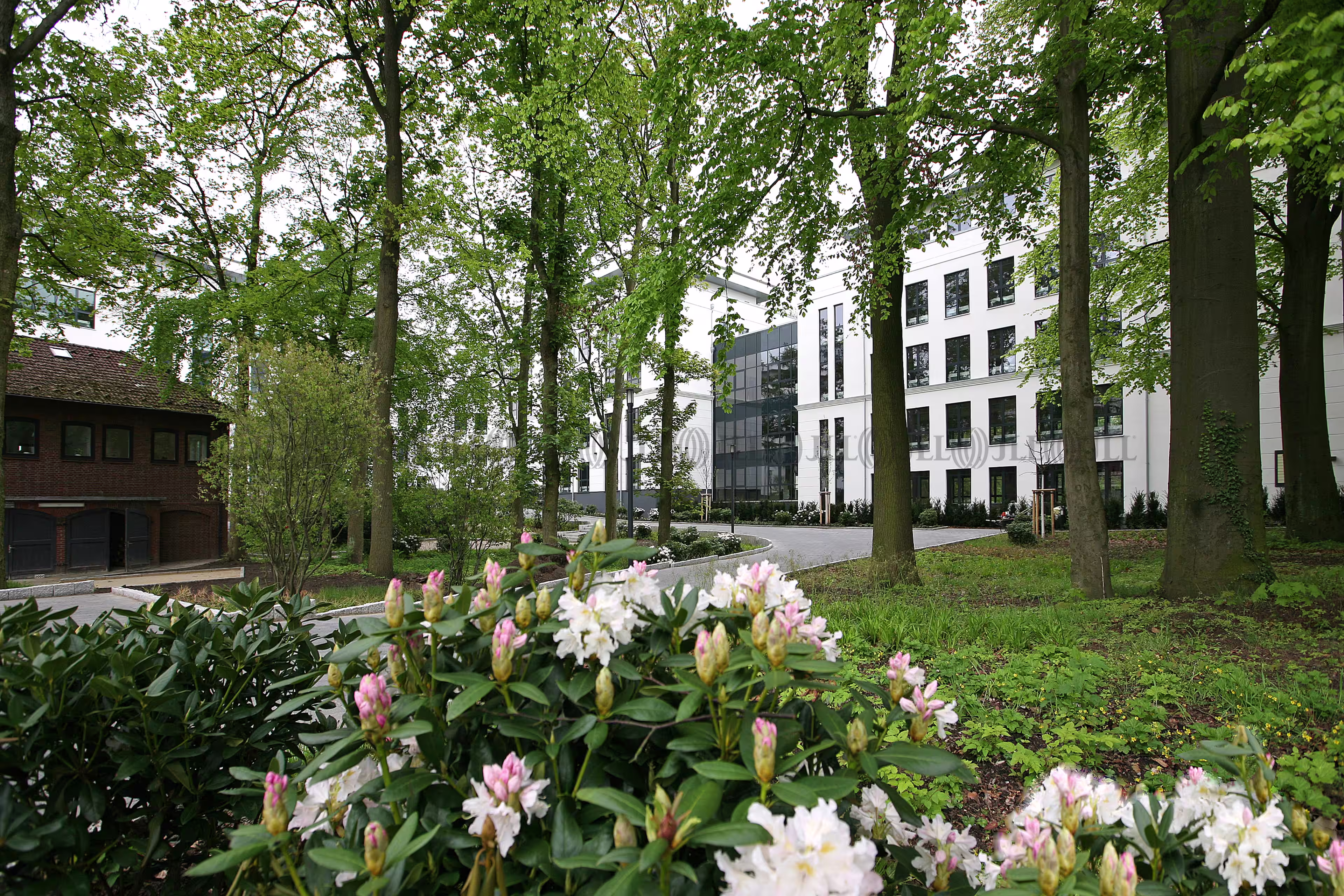 Büroimmobilie - Hamburg, Bahrenfeld - H0104