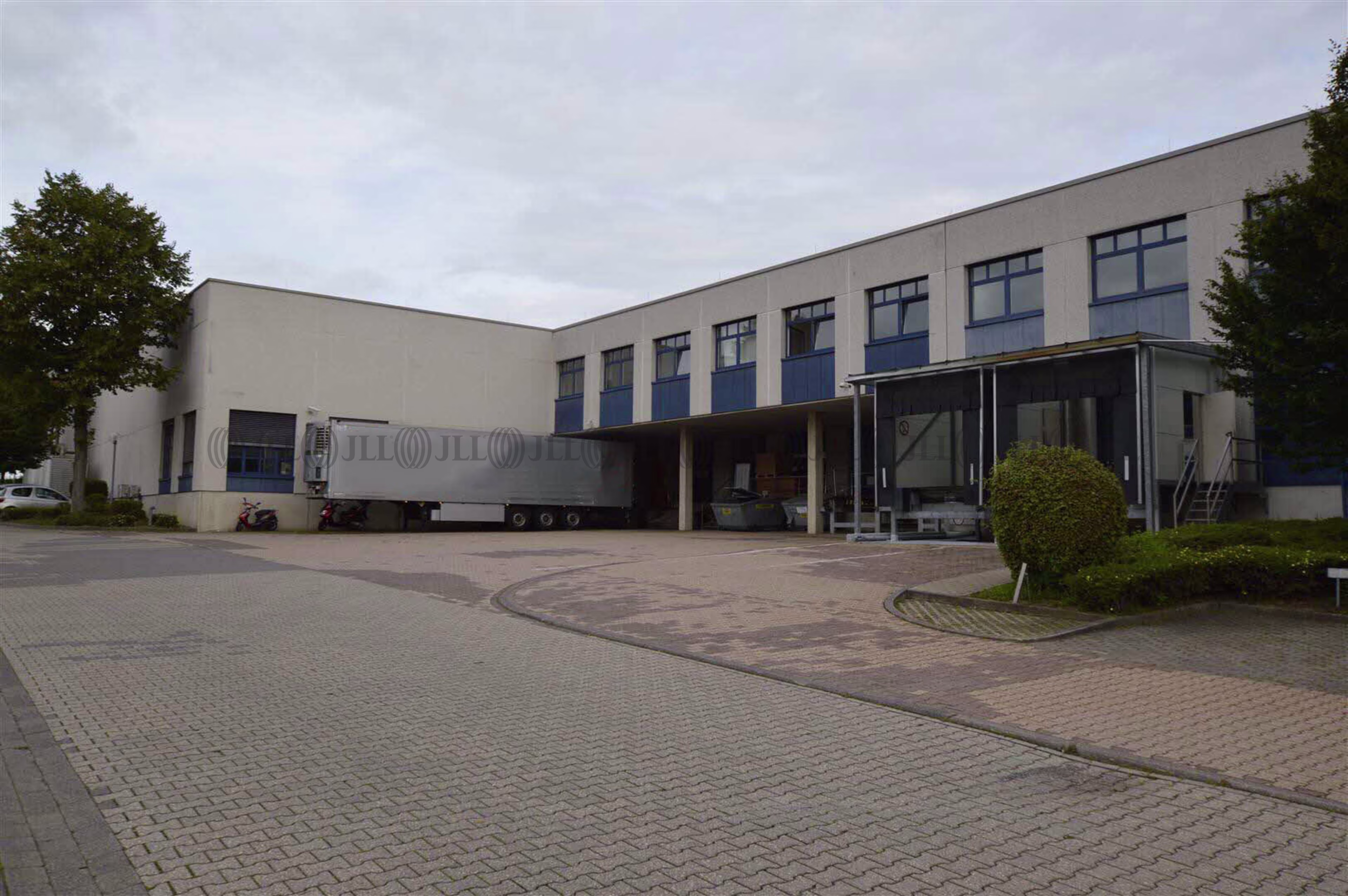 Hallen - Würselen - K1414