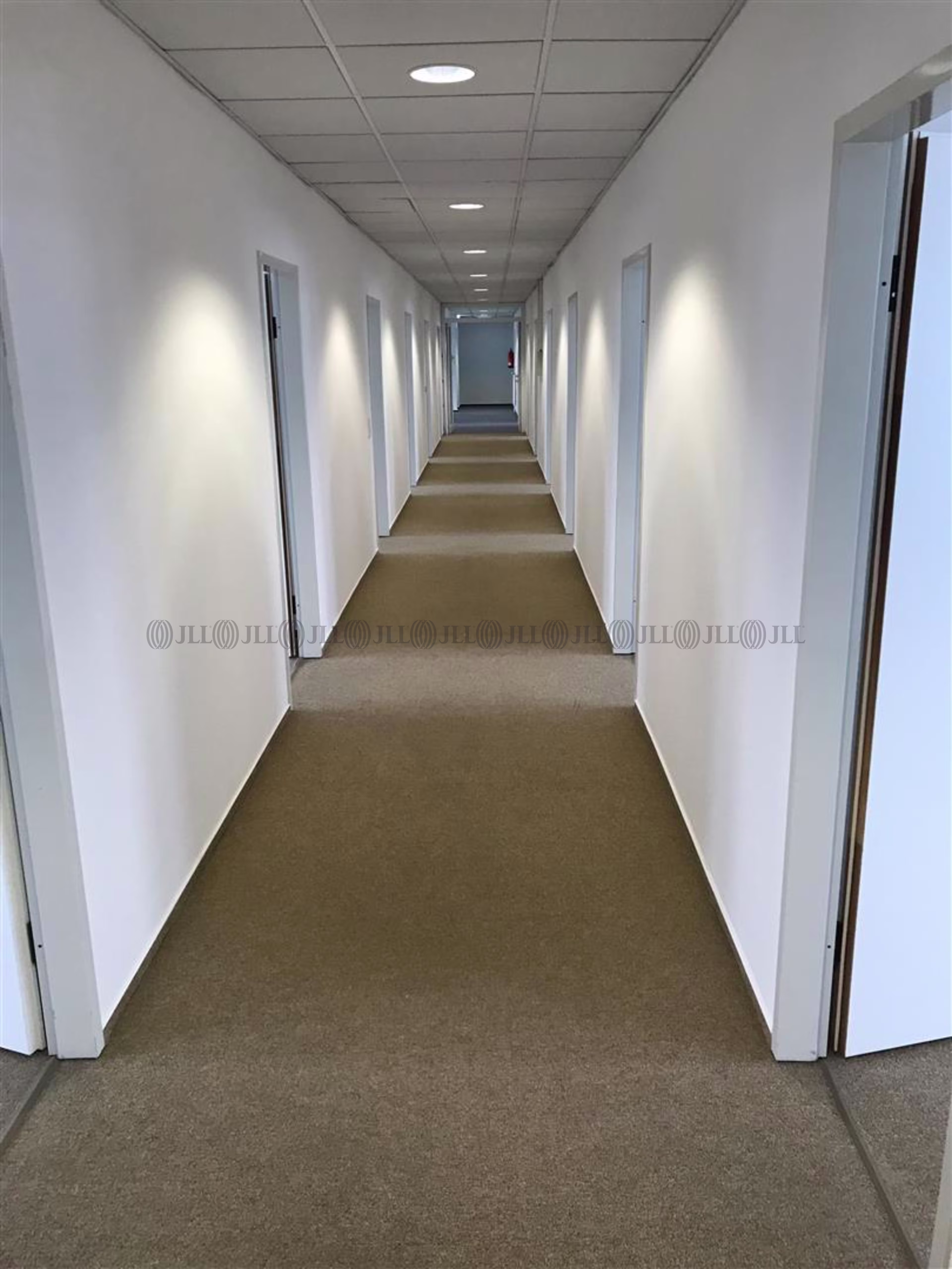 Hallen - Dresden, Großzschachwitz - B2863