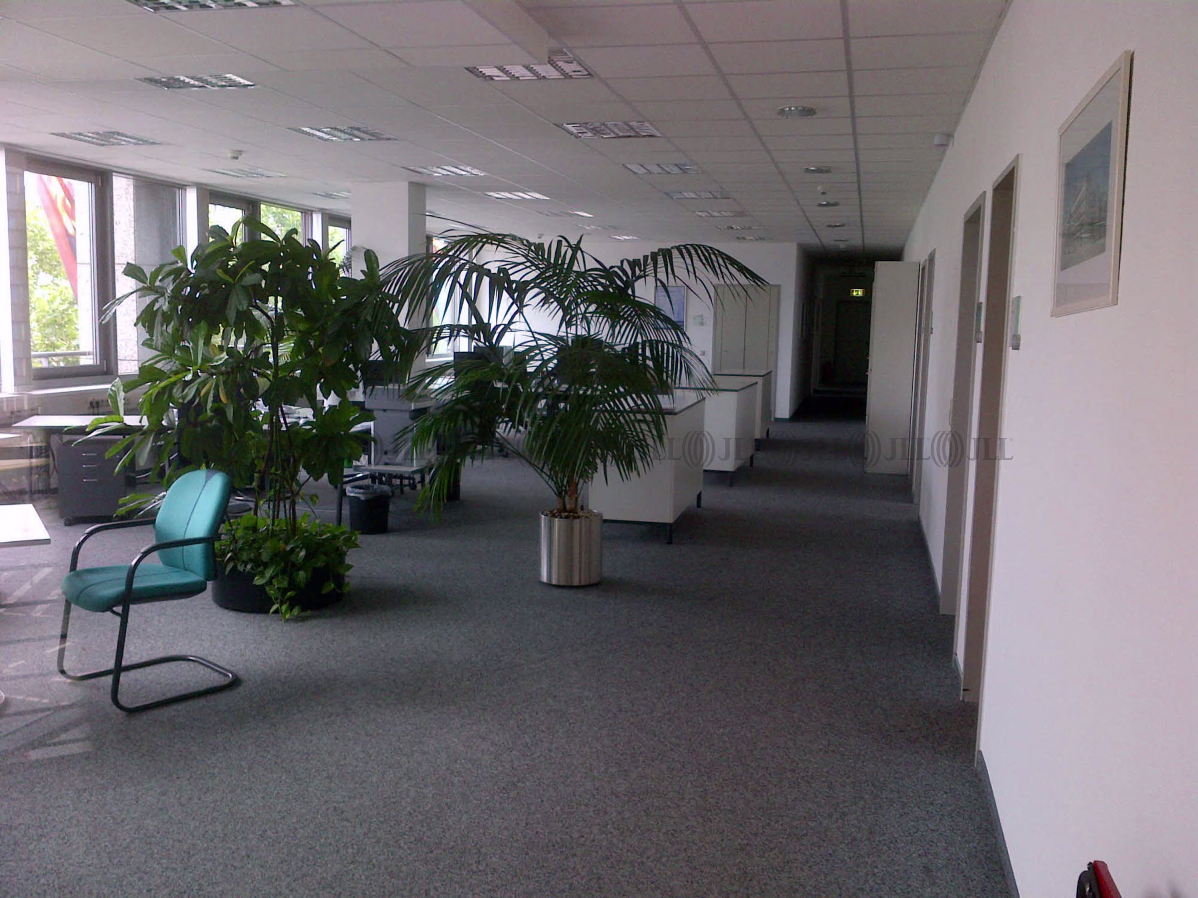 Büroimmobilie - Magdeburg, Altstadt - B0233