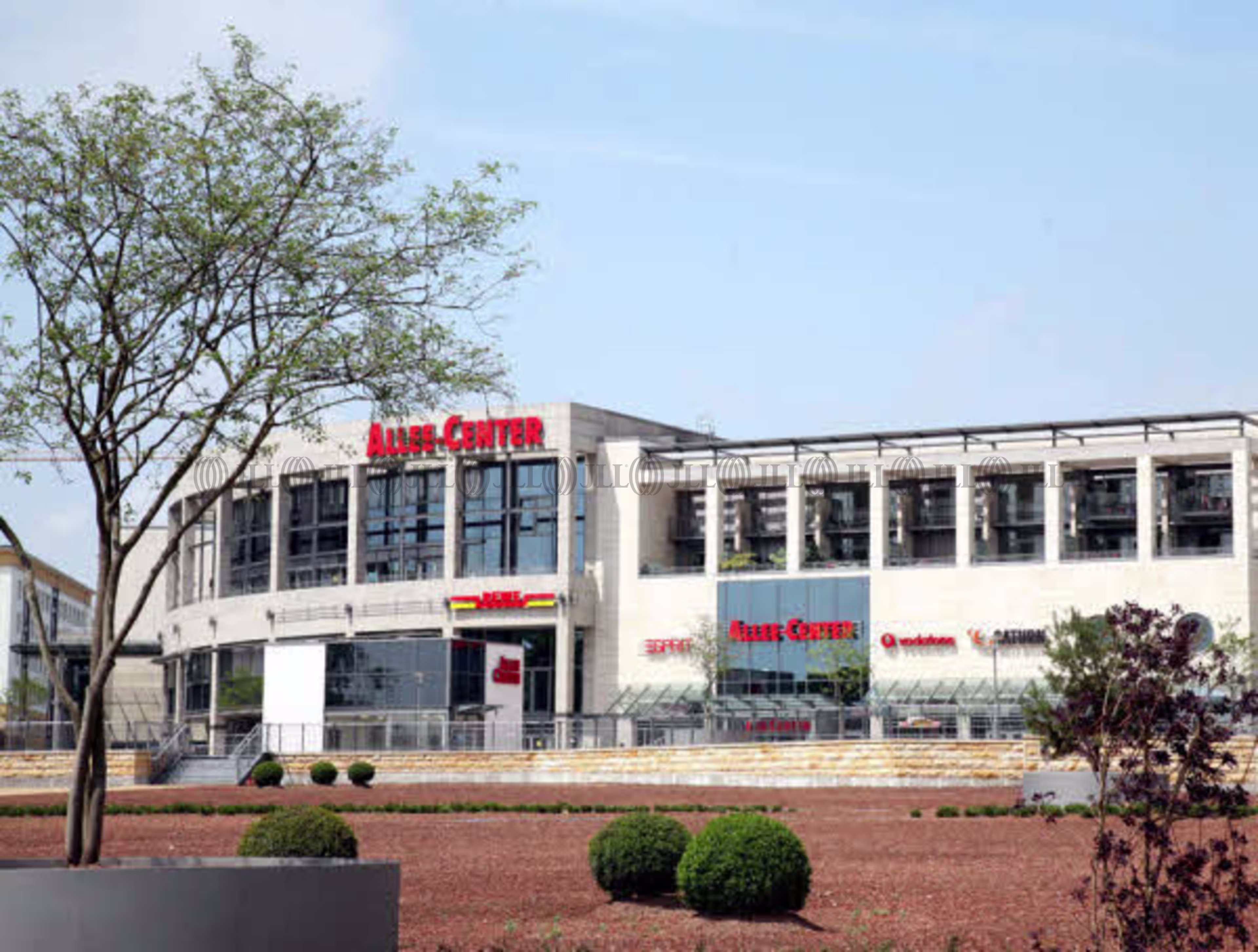 Büroimmobilie - Magdeburg, Altstadt - B0233