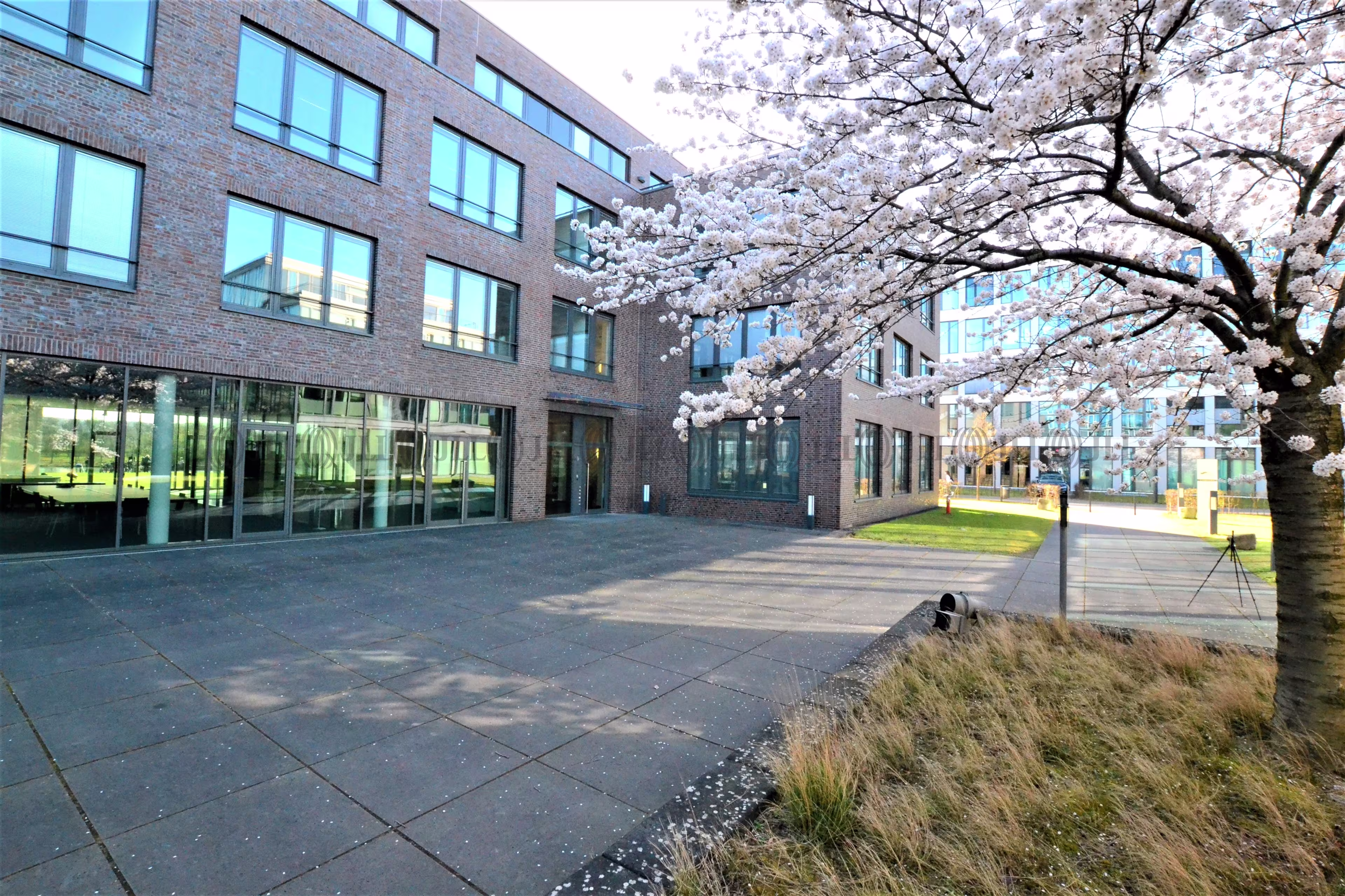 Büroimmobilie - Bonn, Oberkassel - K1627