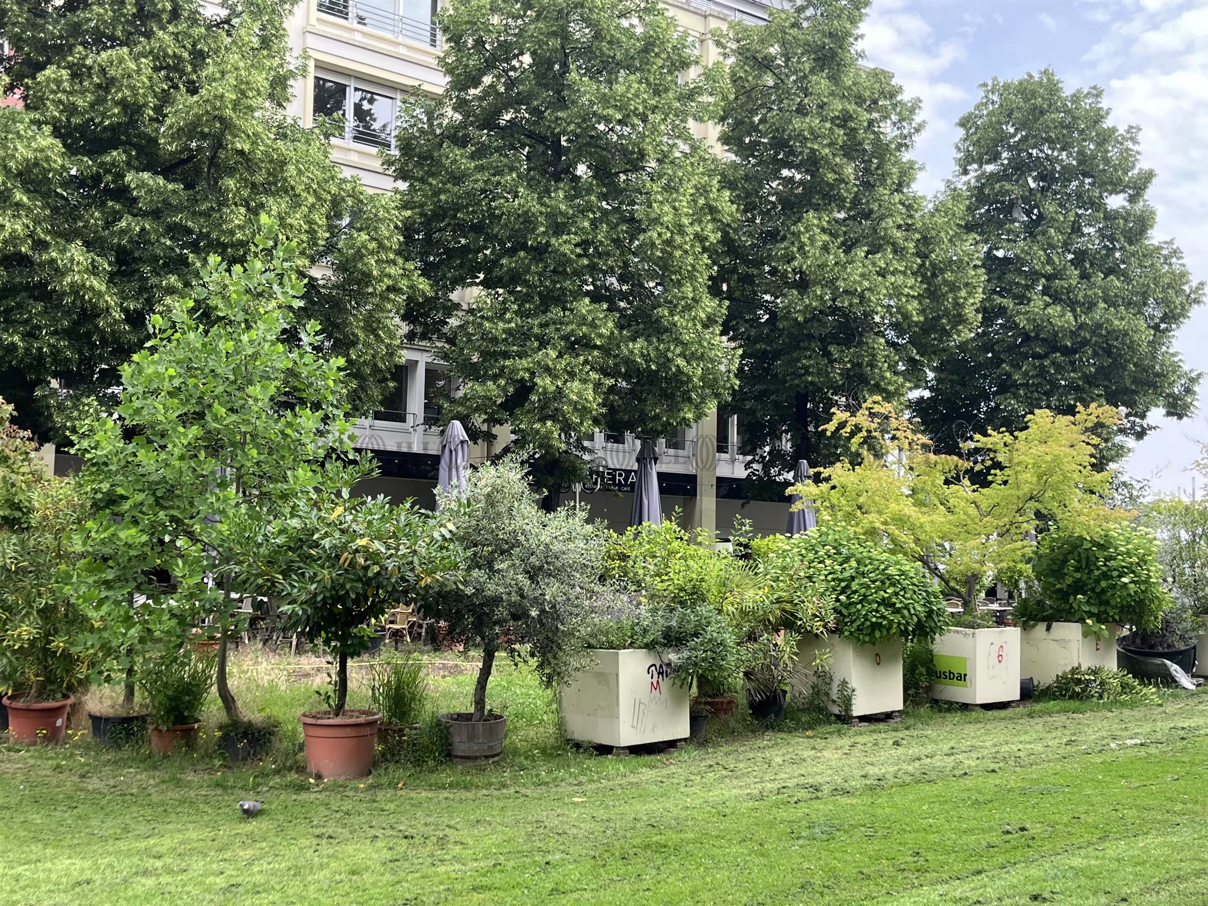 Einzelhandel - Bonn, Zentrum - E1360