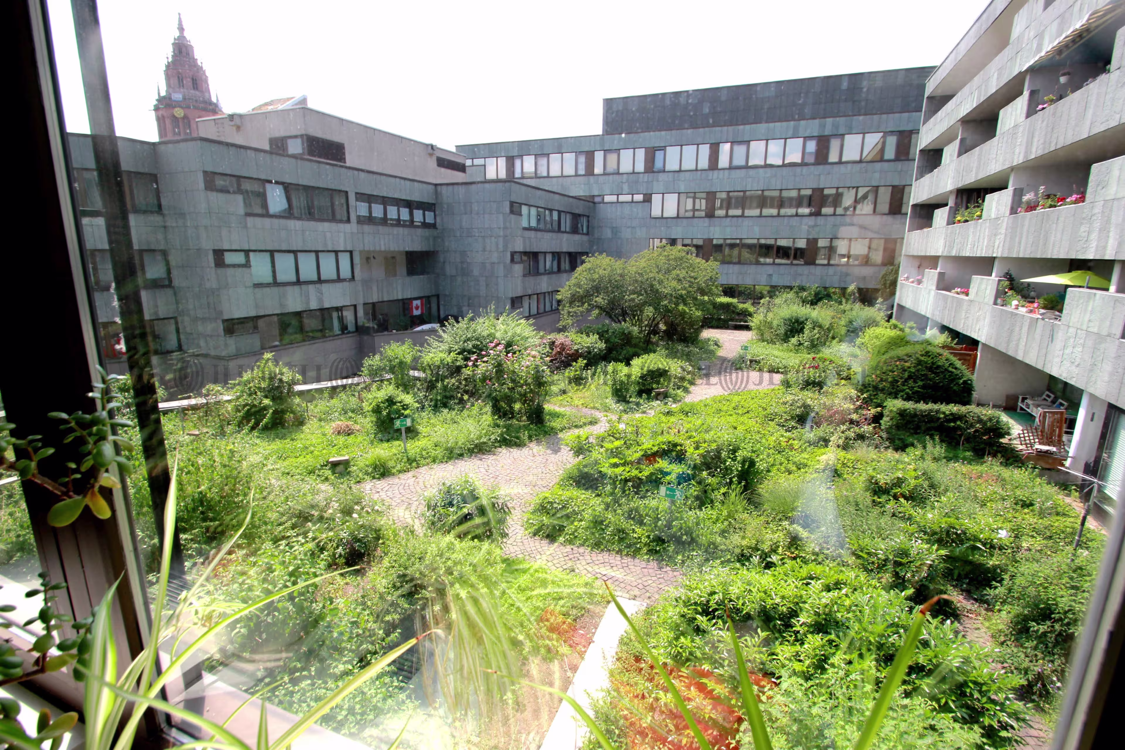 Büroimmobilie - Mainz, Altstadt - F2238