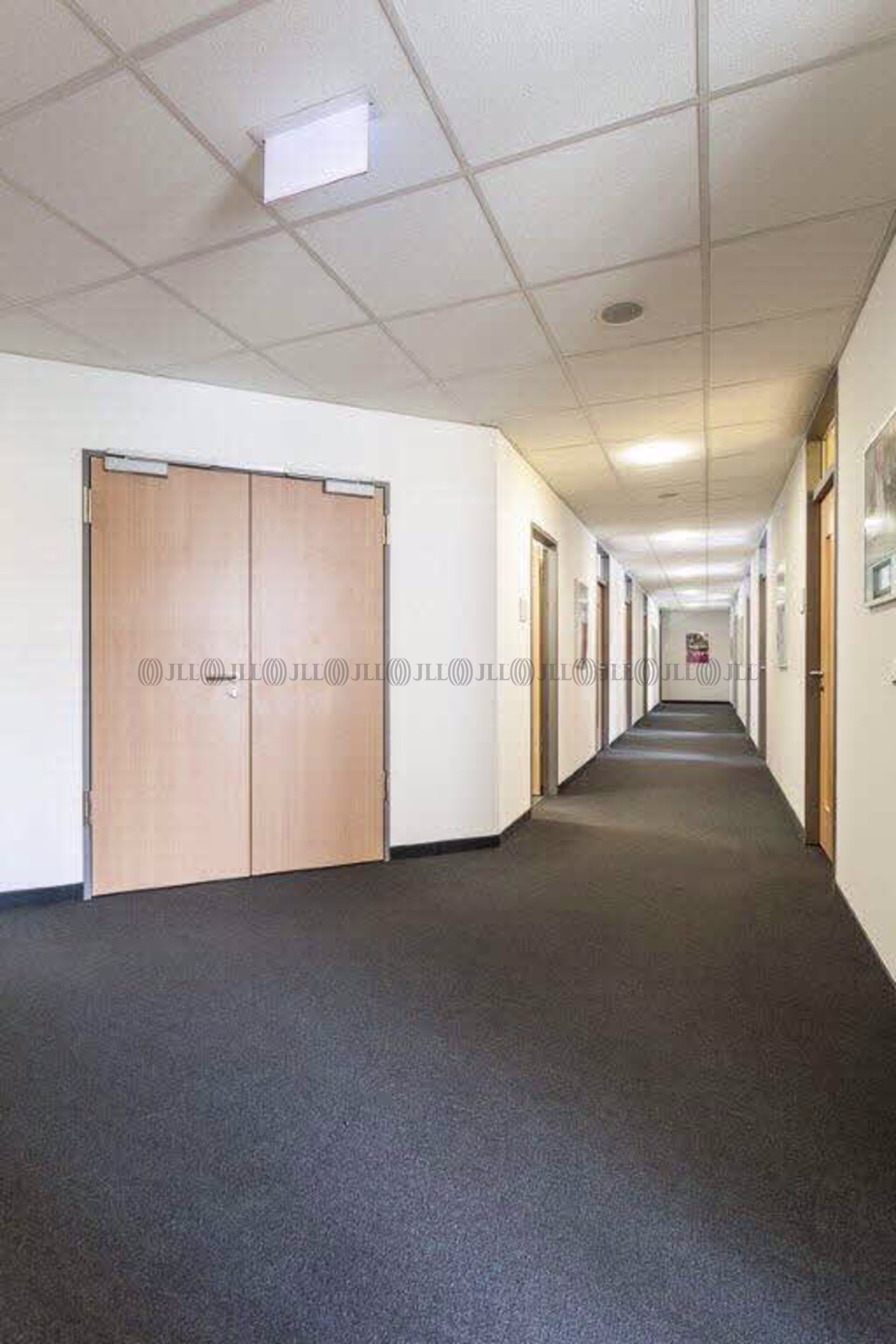 Büroimmobilie - Ismaning - M0550