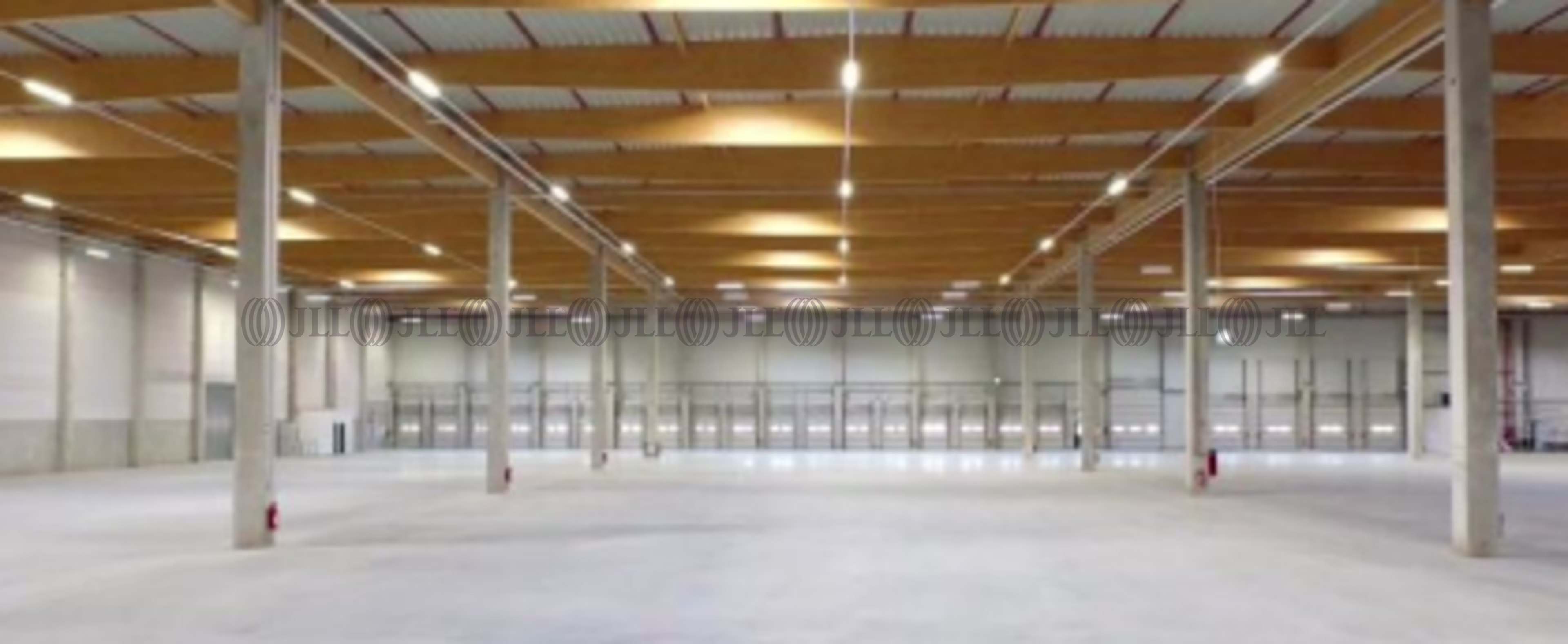 Hallen - Dummerstorf - B2313