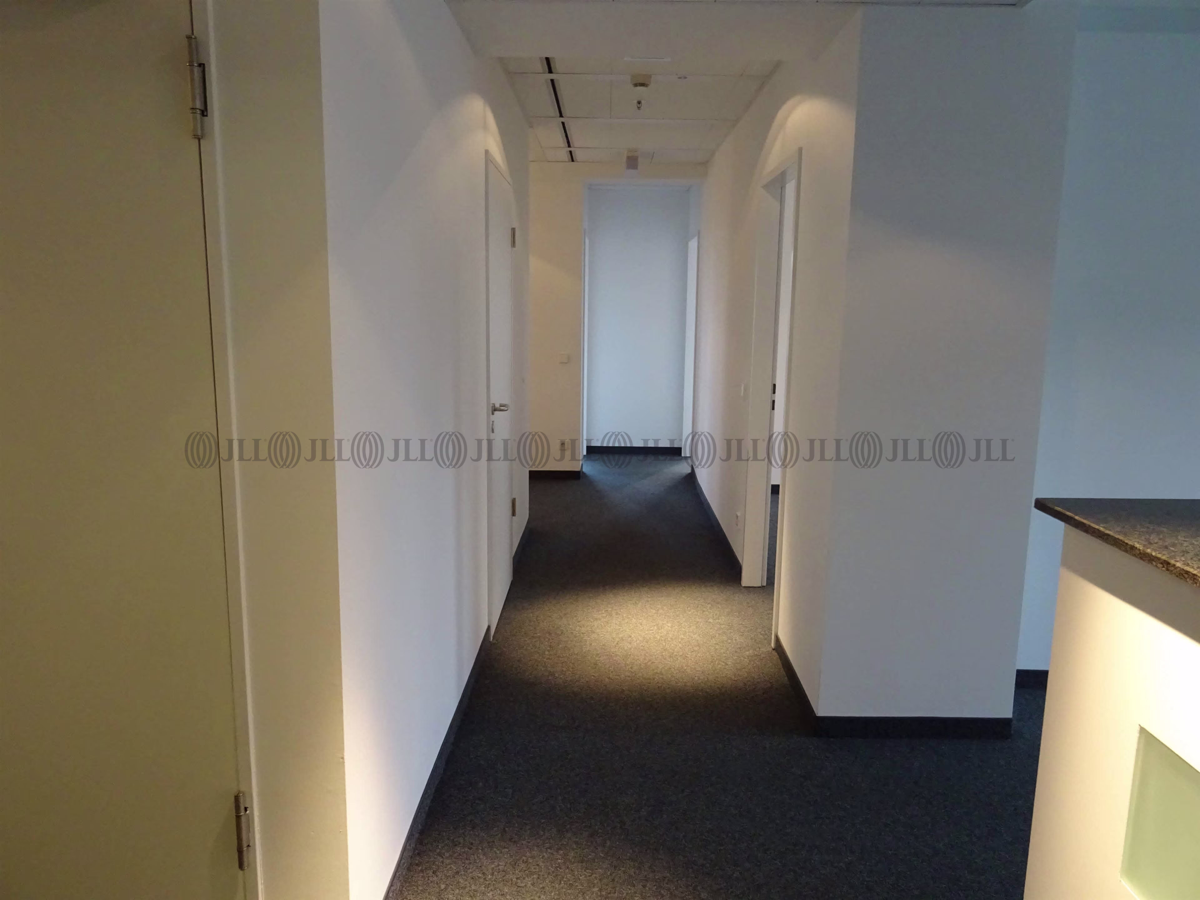 Büroimmobilie - Frankfurt am Main, Westend-Süd - D0001