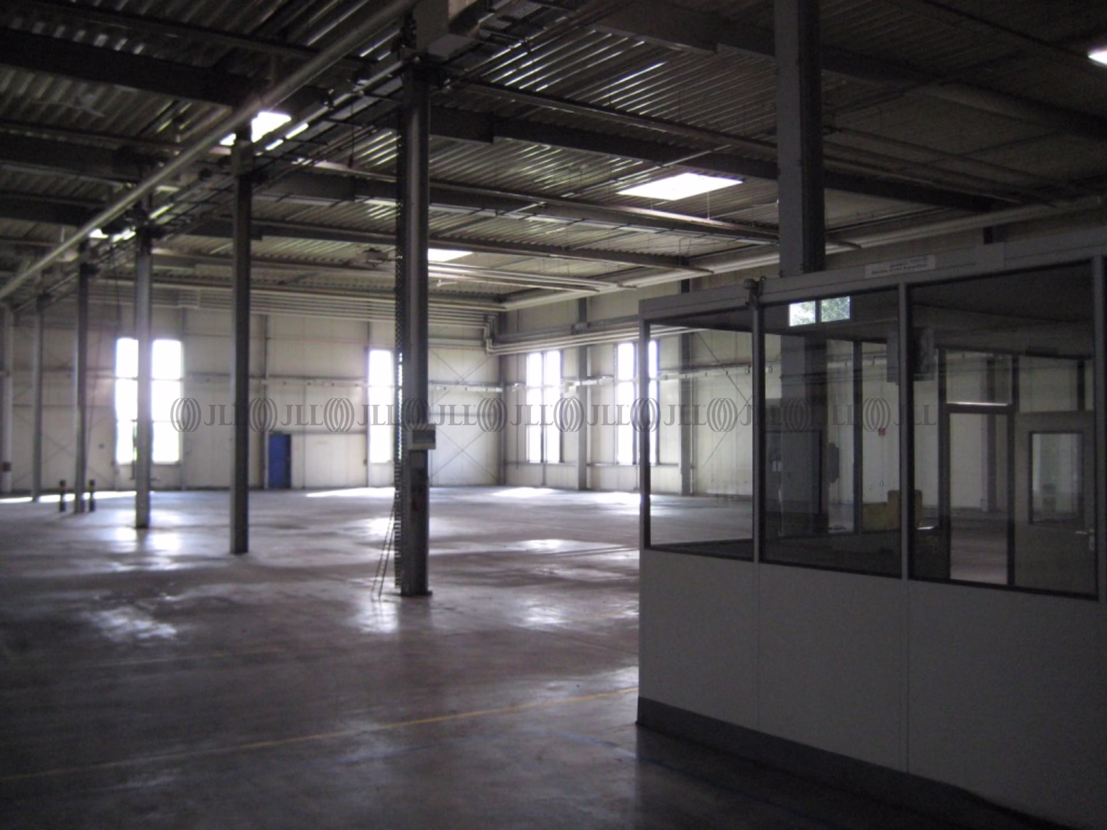 Hallen - Coswig (Anhalt) - B3316