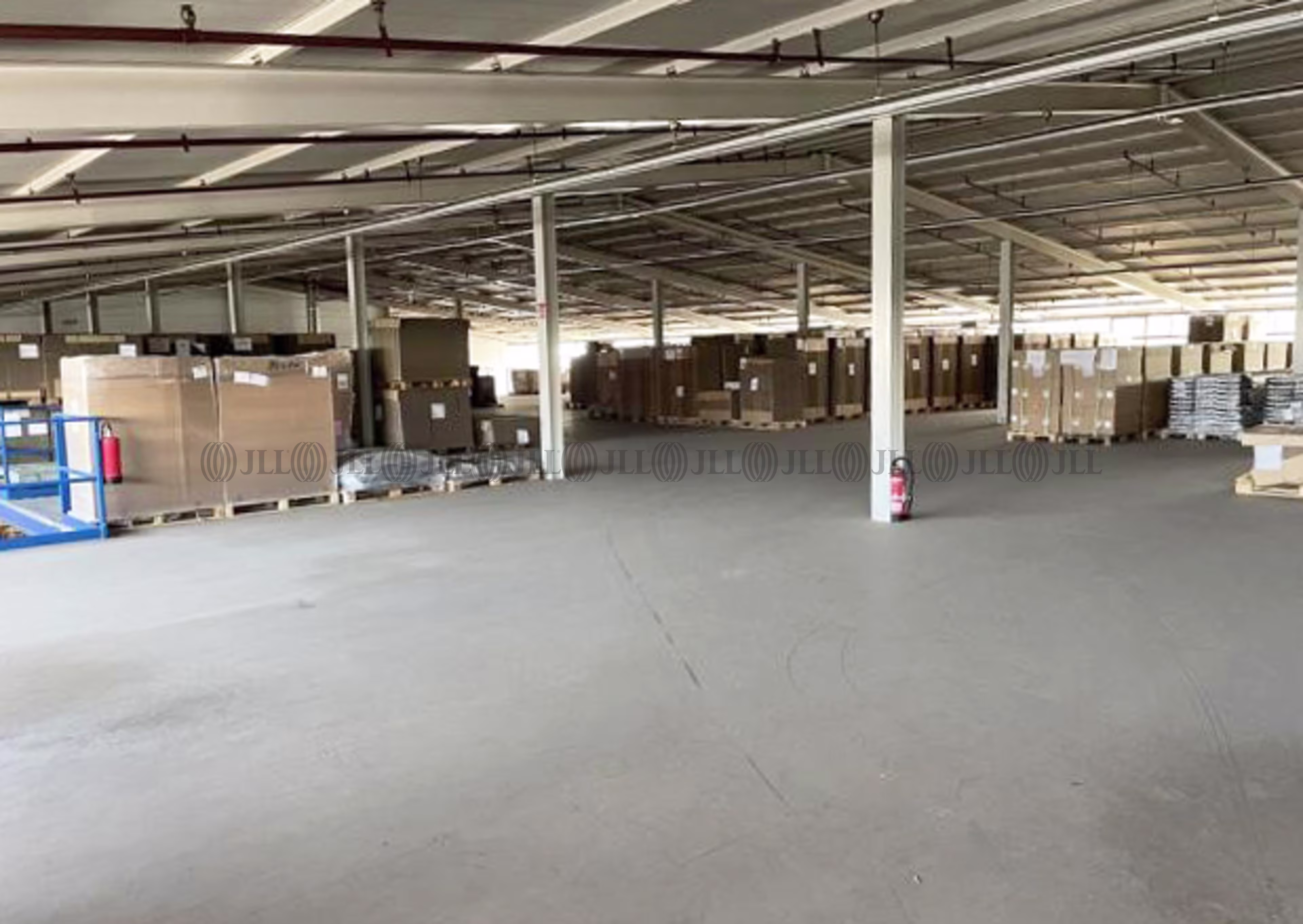 Hallen - Rodgau - F0590