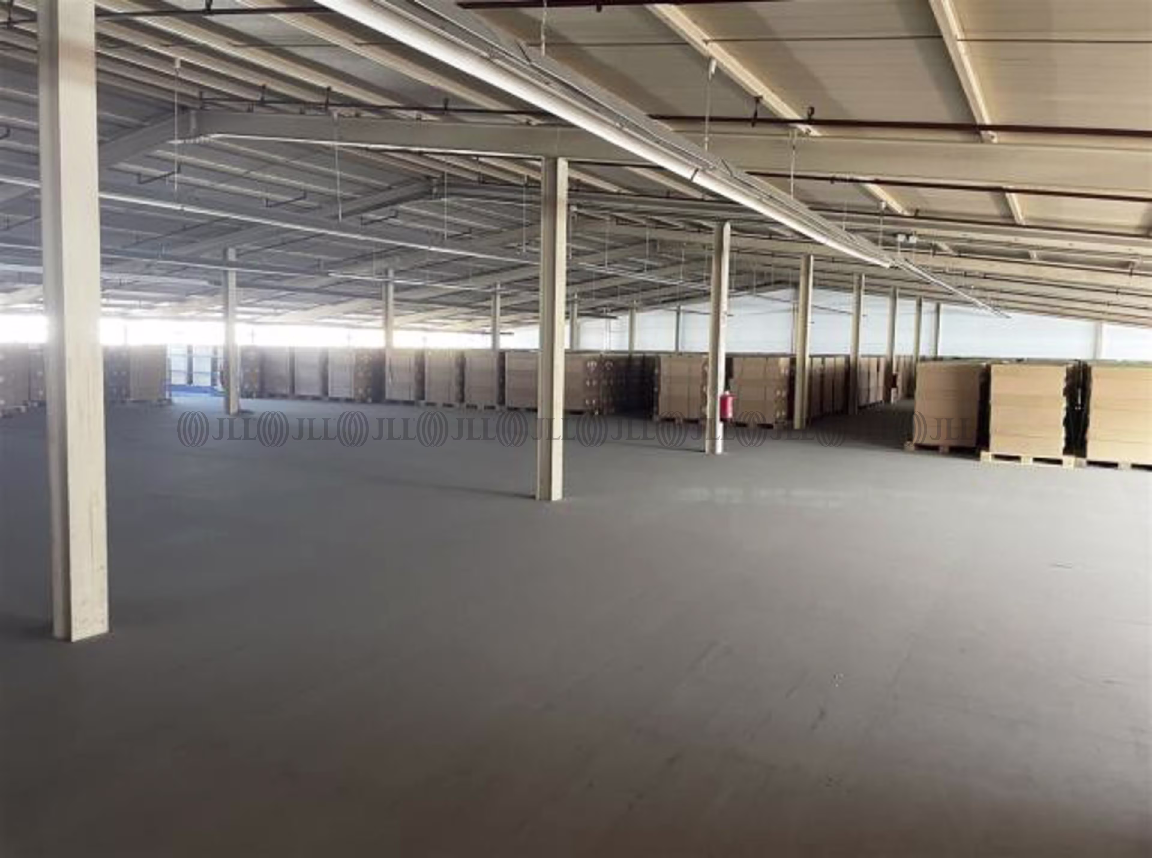 Hallen - Rodgau - F0590