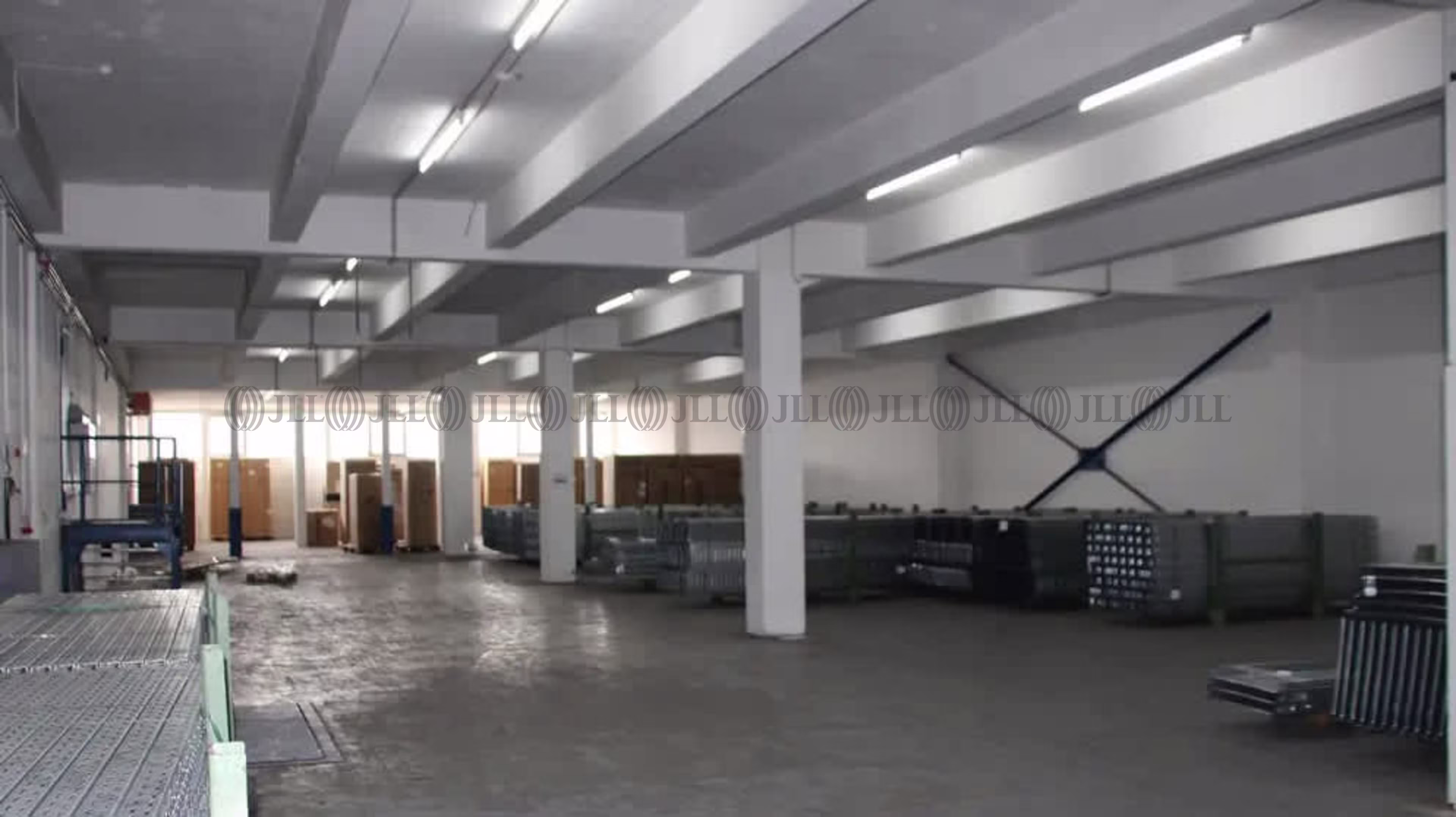 Hallen - Ludwigshafen am Rhein, Ludwigshafen-Friesenheim - F2669