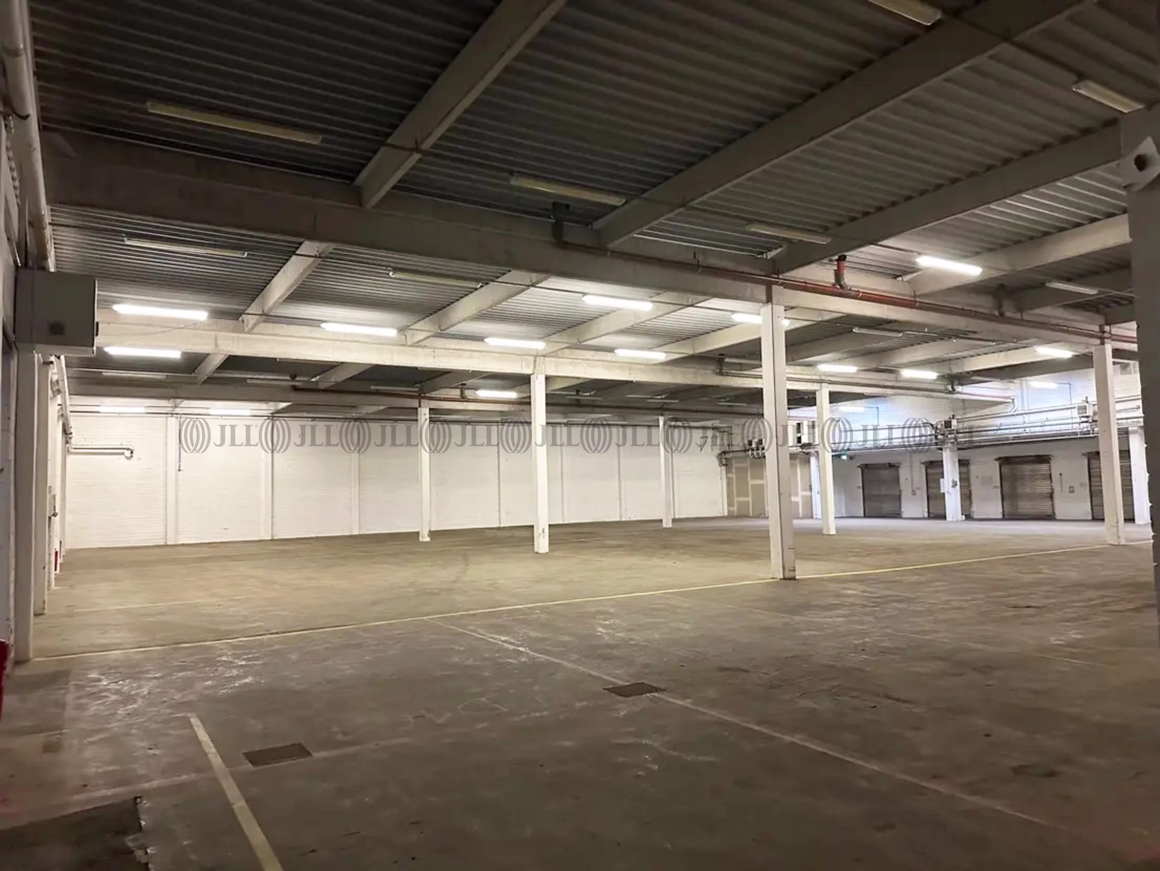 Hallen - Edenkoben - F3184