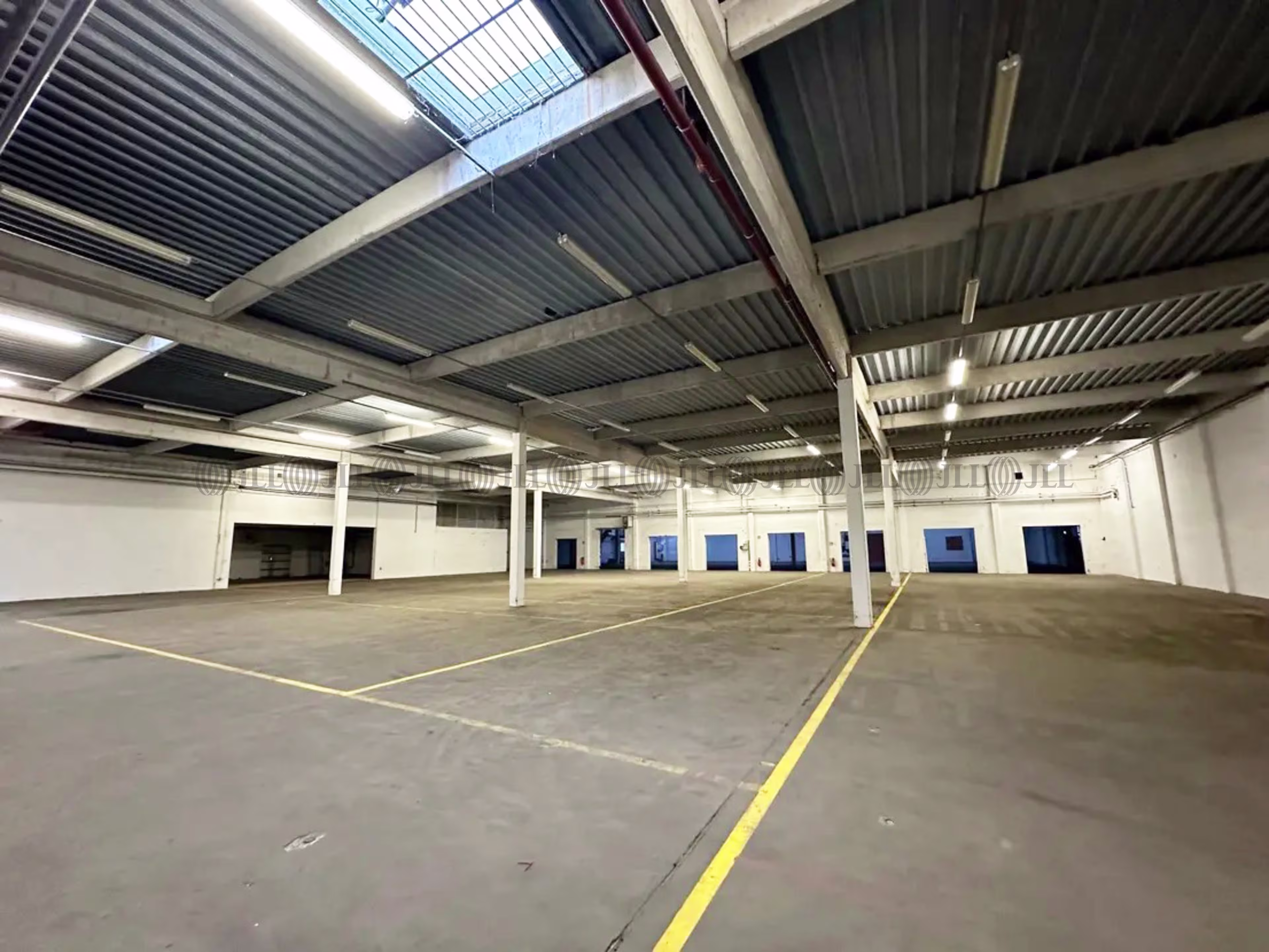 Hallen - Edenkoben - F3184