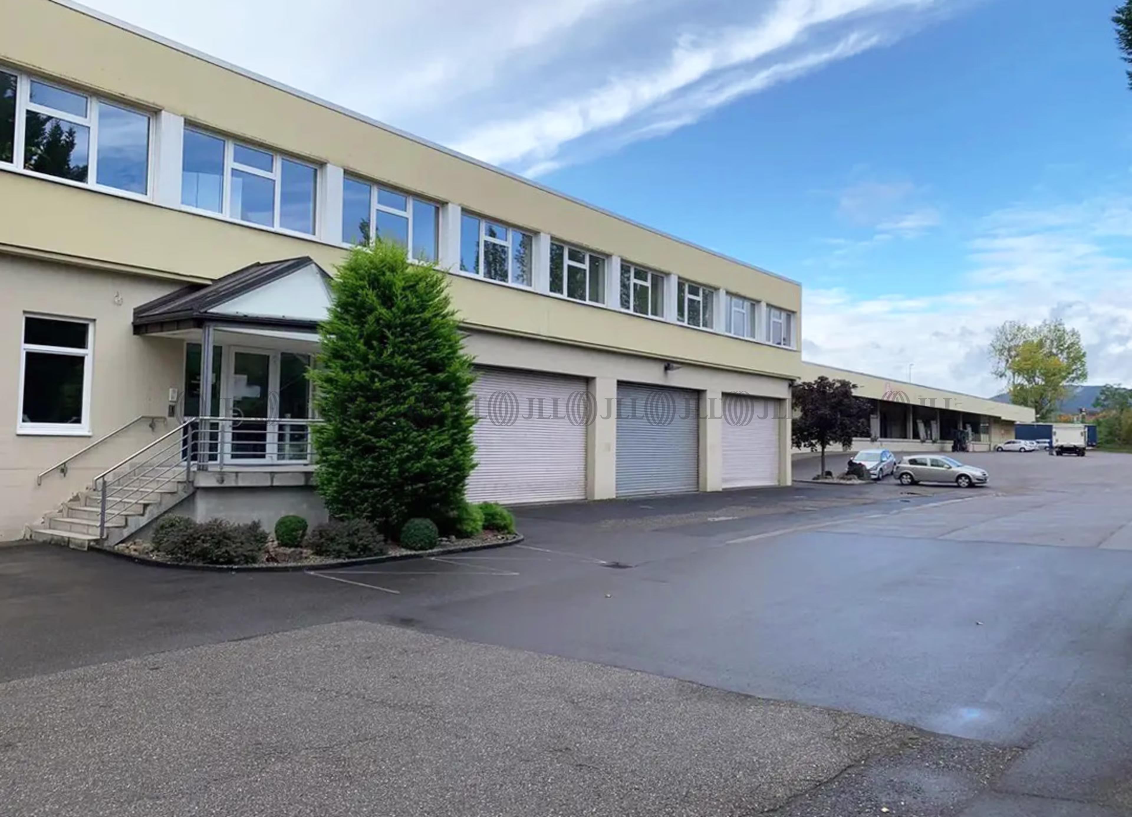 Hallen - Edenkoben - F3184