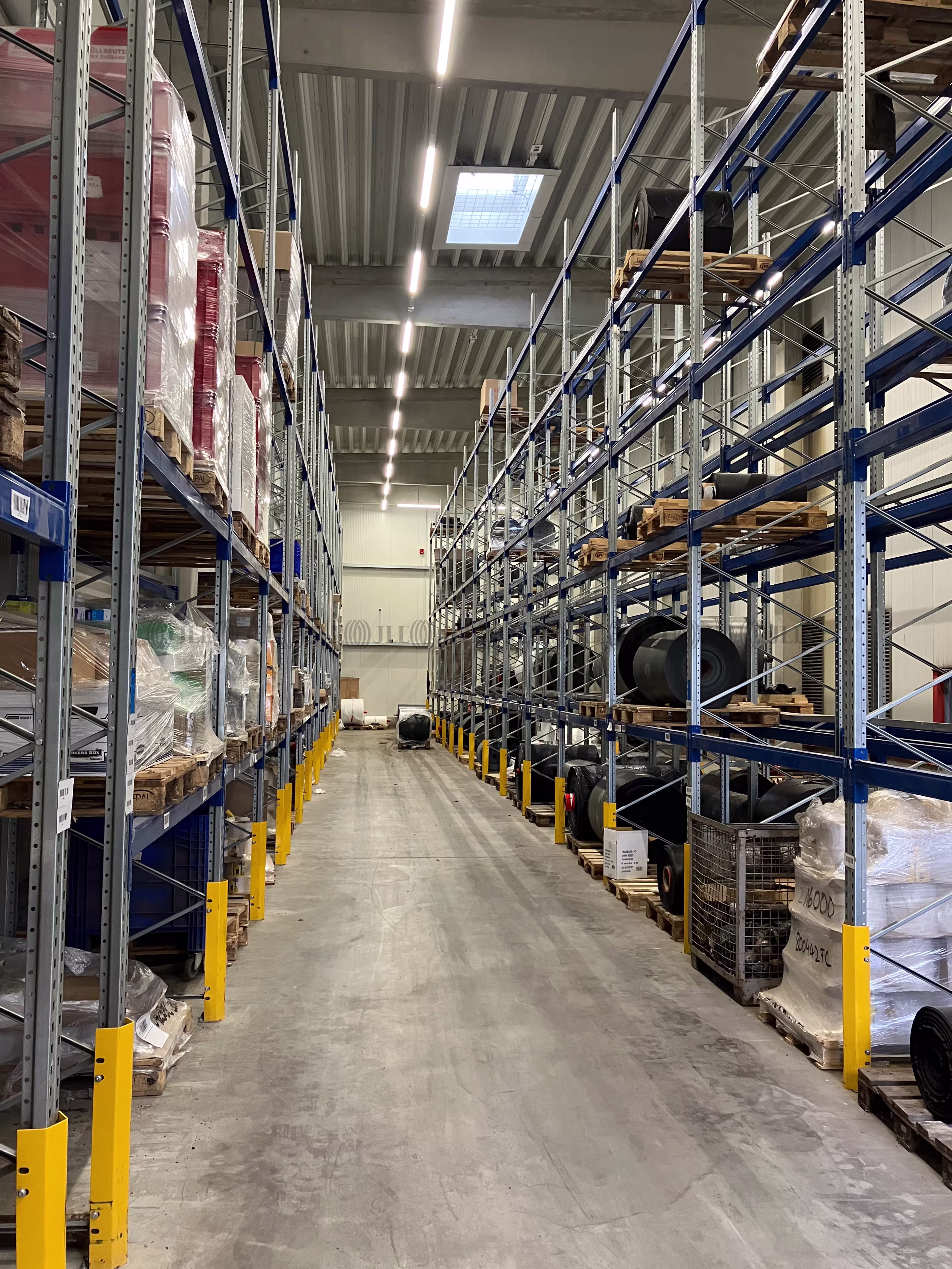 Hallen - Calvörde - B2955