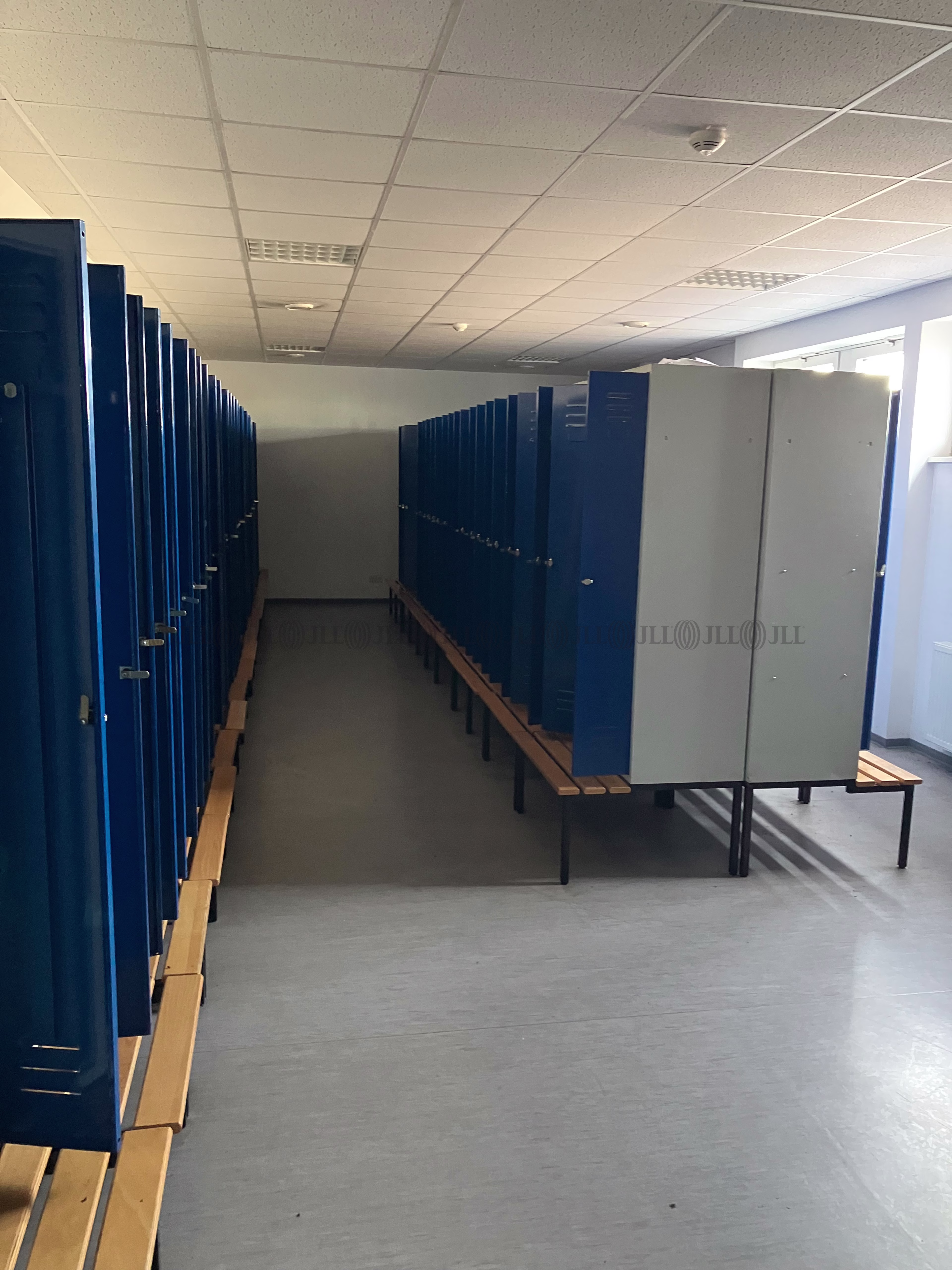 Hallen - Hörselberg-Hainich - B3009