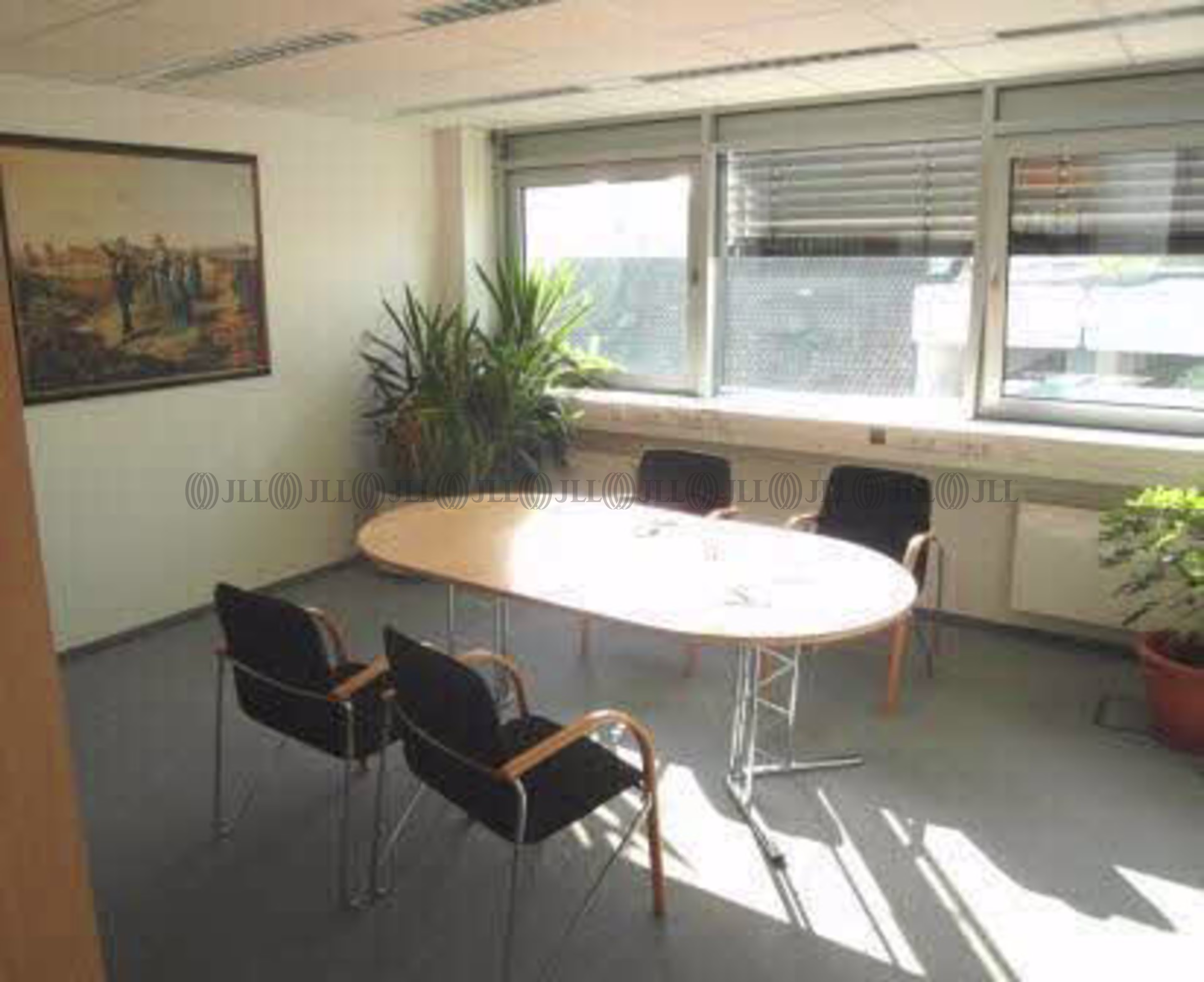 Büroimmobilie - Ludwigshafen am Rhein, Mitte - F1800