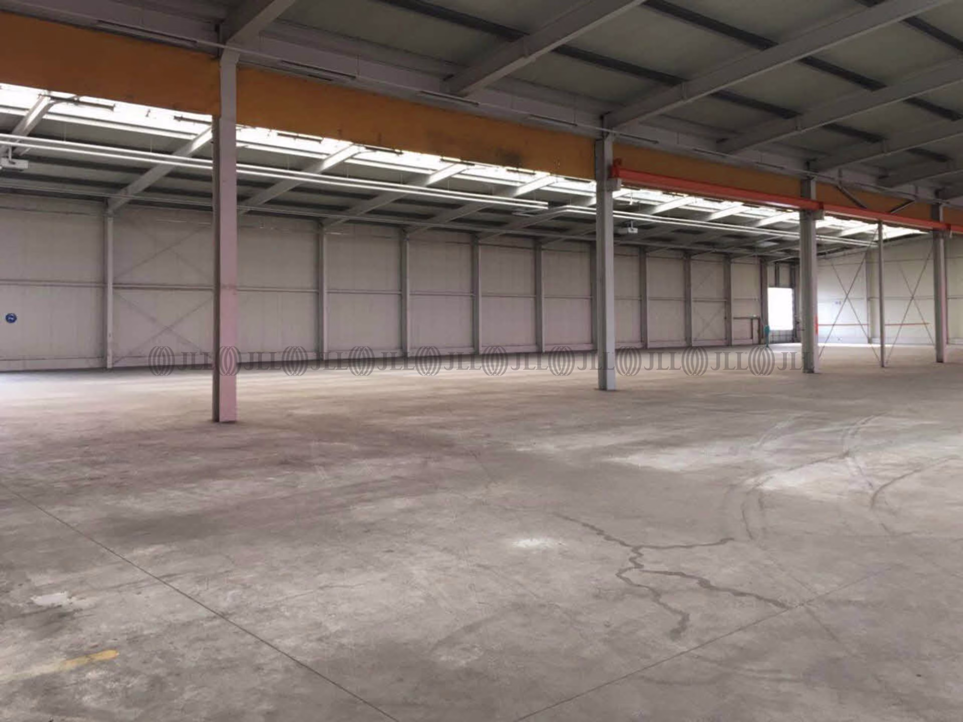 Hallen - Kloster Lehnin - B1124