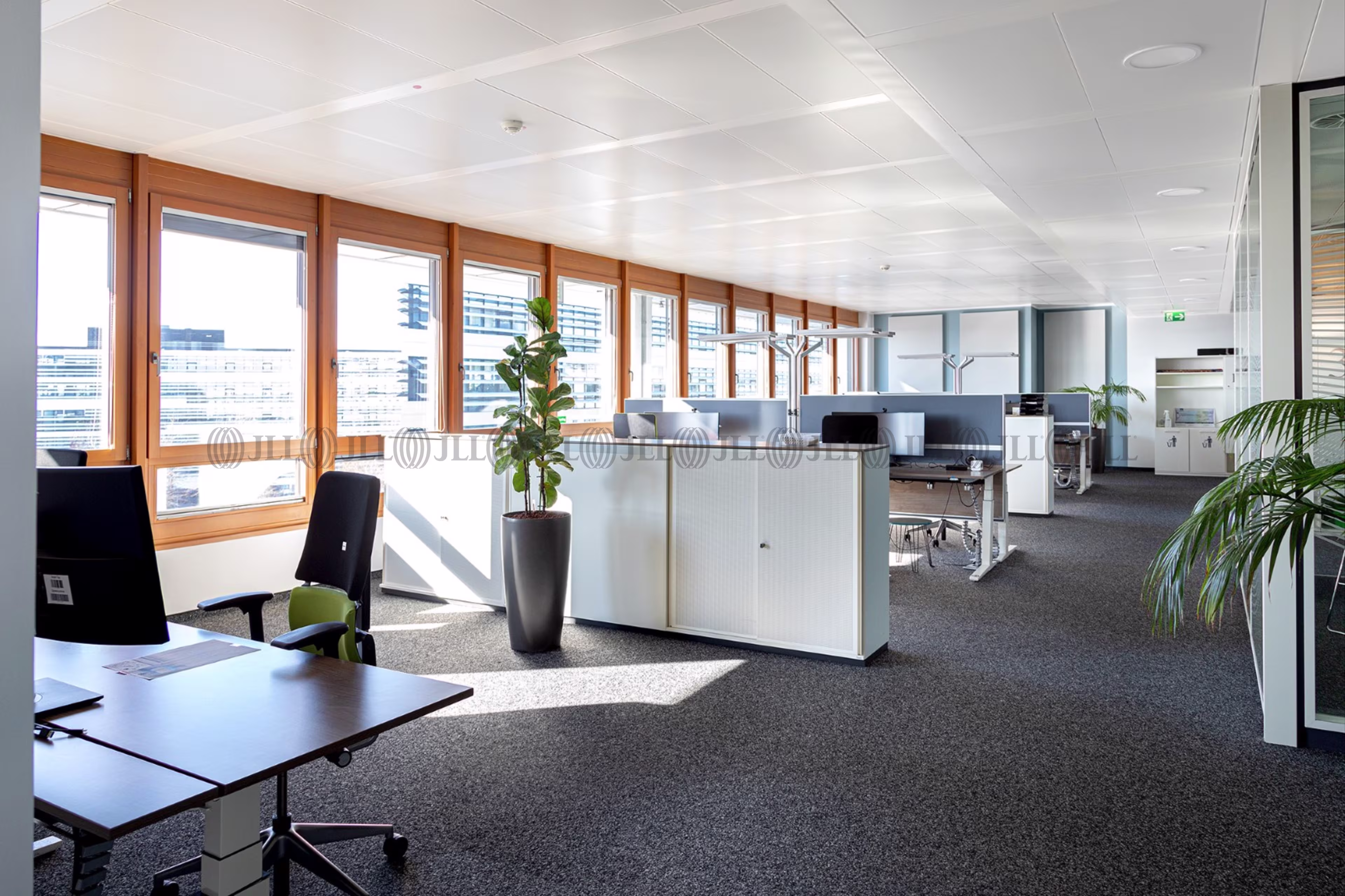 Büroimmobilie - Düsseldorf, Heerdt - D0485