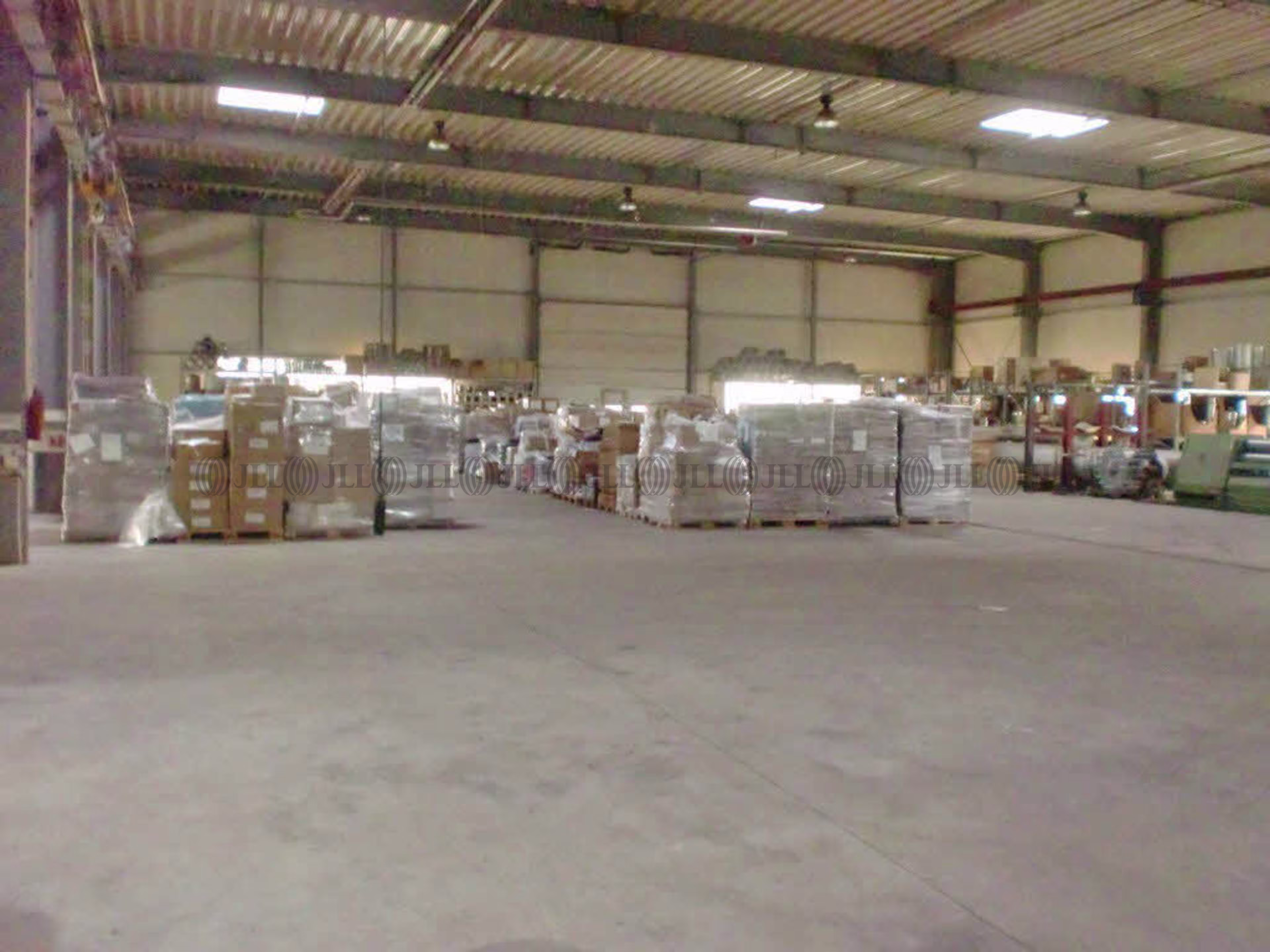 Hallen - Schönebeck (Elbe) - B1460