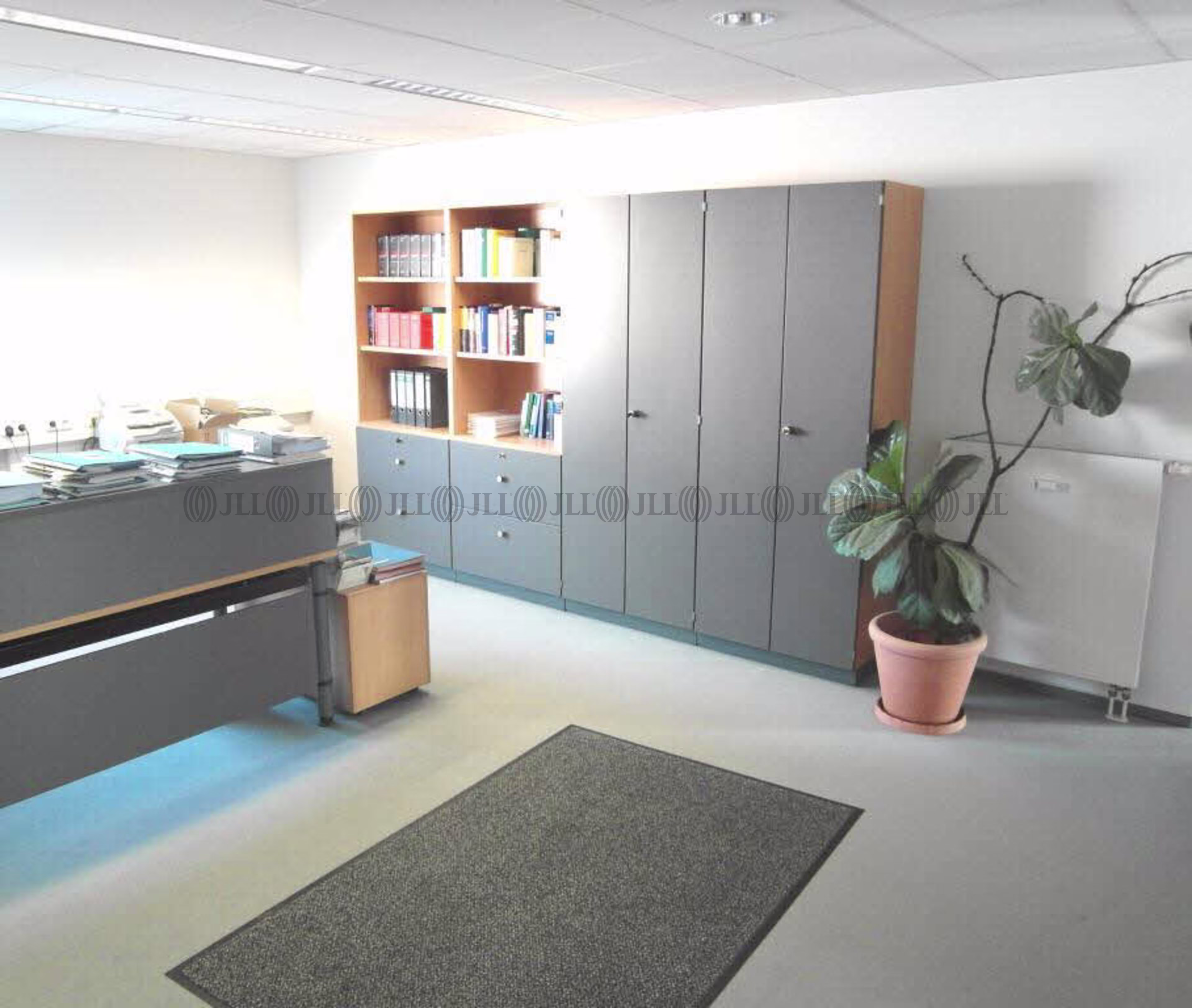 Büroimmobilie - Ludwigshafen am Rhein, Mitte - F1800