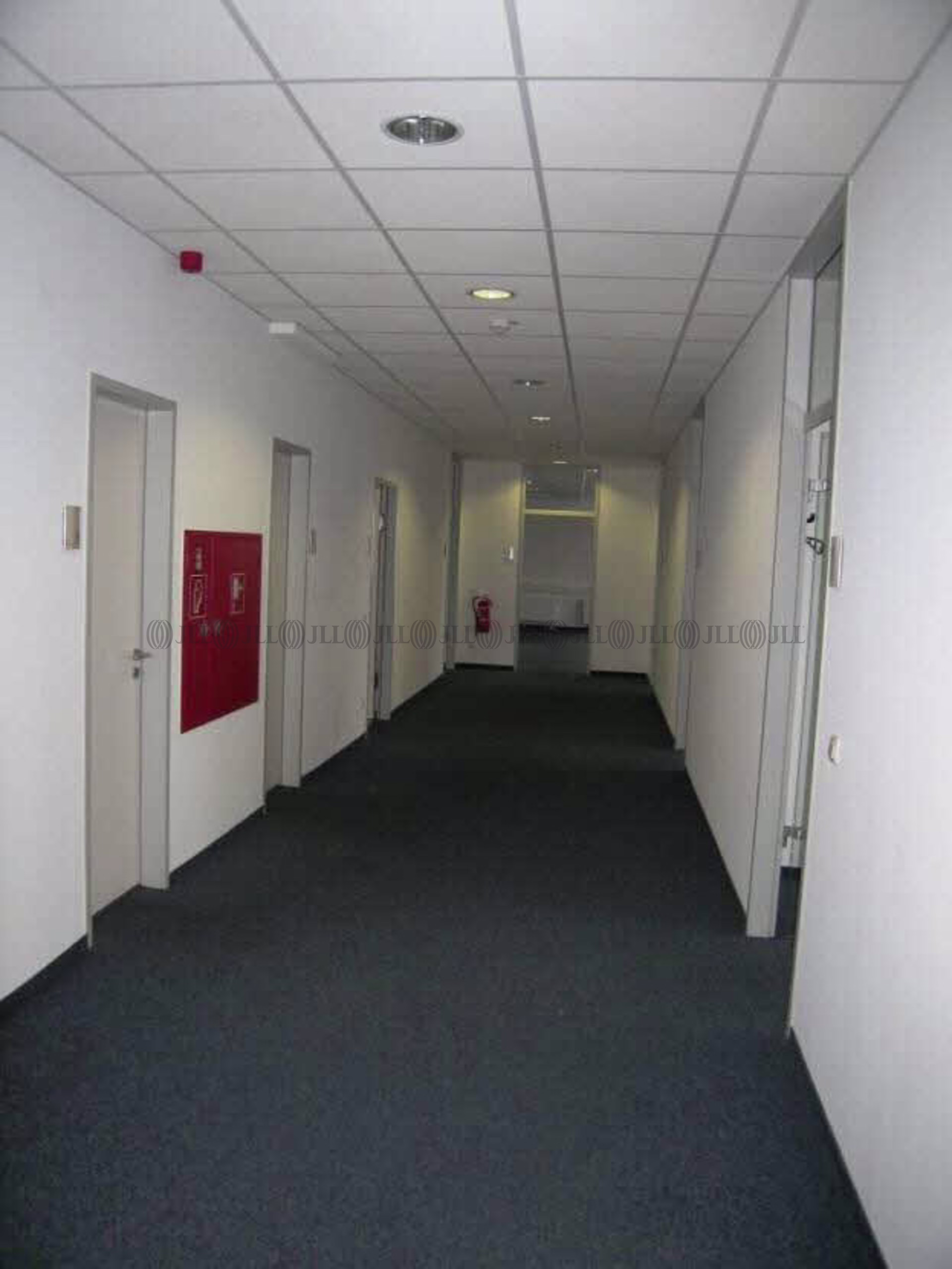 Büroimmobilie - Ludwigshafen am Rhein, Mitte - F1877